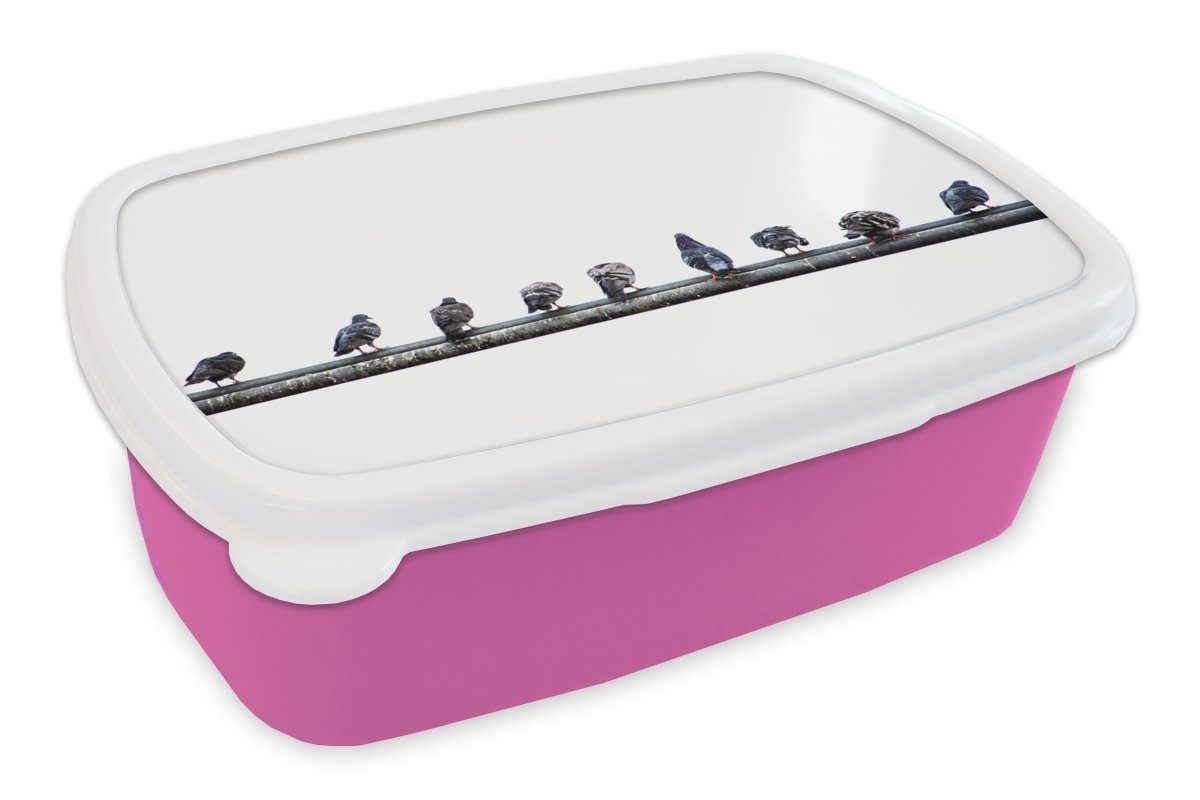 MuchoWow Lunchbox Eine Reihe von Tauben, die auf einem Bleirohr sitzen, Kunststoff, (2-tlg), Brotbox für Erwachsene, Brotdose Kinder, Snackbox, Mädchen, Kunststoff rosa