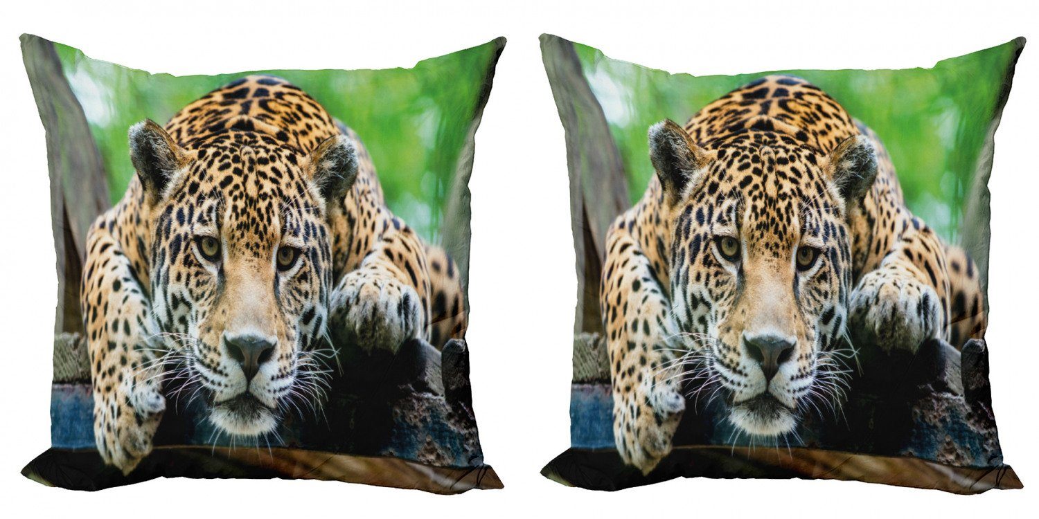Kissenbezüge Modern Accent Doppelseitiger Digitaldruck, Abakuhaus (2 Stück), Jaguar Jaguar Wildcat Feline