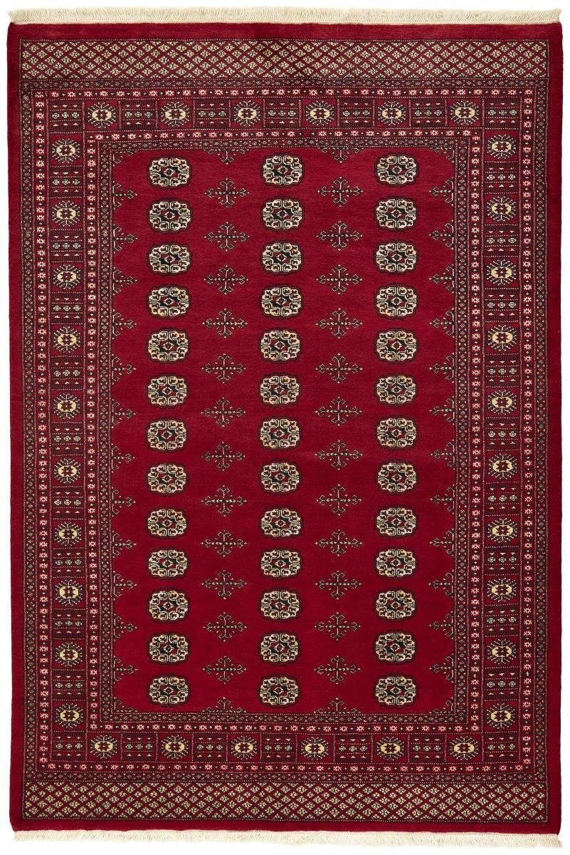 Orientteppich Pakistan Buchara 2ply 171x250 Handgeknüpfter Orientteppich, Nain Trading, rechteckig, Höhe: 8 mm