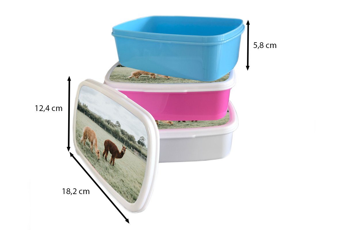 Alpakas MuchoWow - Tiere Lunchbox für Kunststoff (2-tlg), rosa Mädchen, Brotdose Snackbox, Brotbox Erwachsene, - Gras, Kunststoff, Kinder,