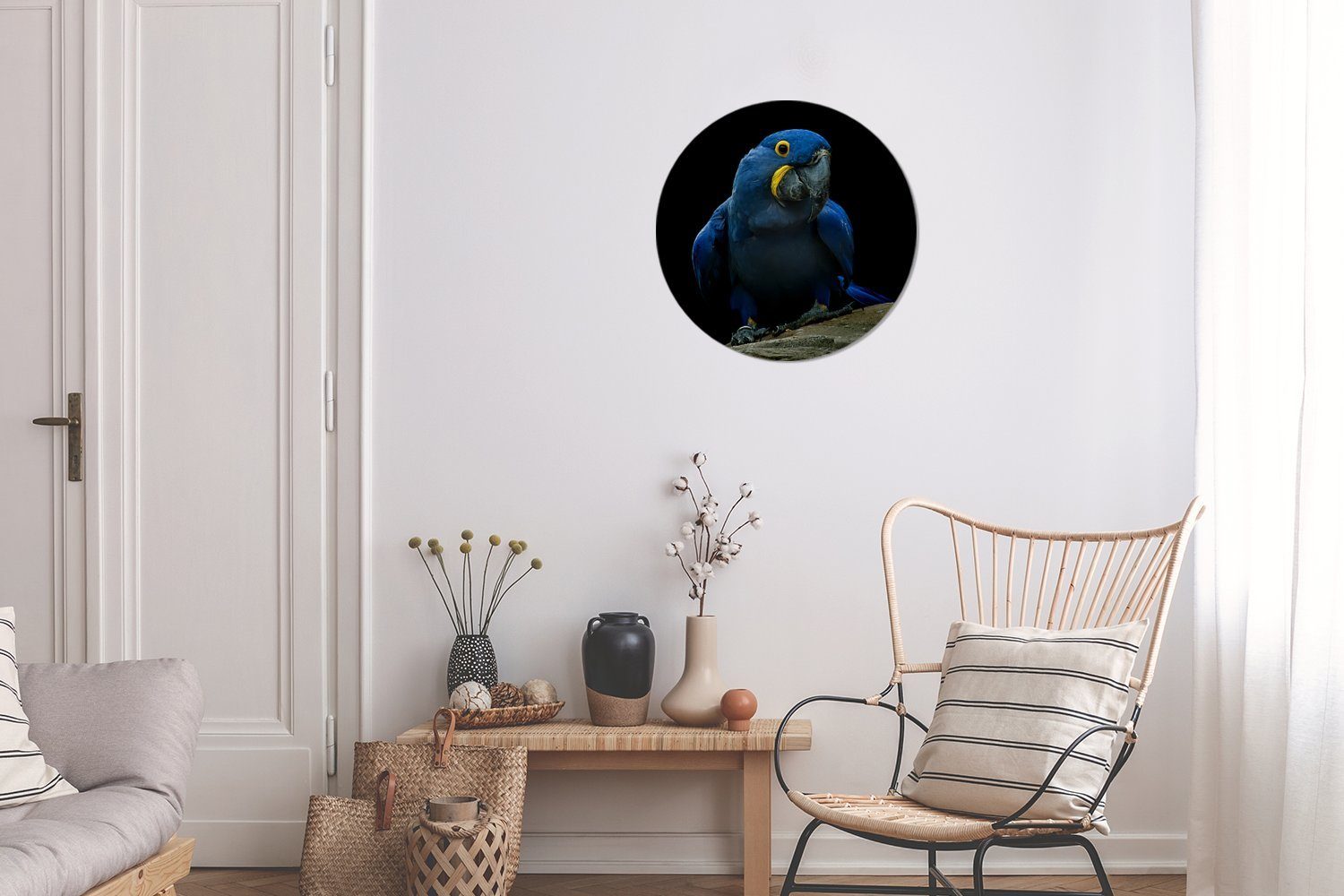 Wanddekoration einem Ein Kreis Gemälde 30x30 Rundes Forex, Baumstumpf vor Hintergrund, Wandbild, auf Hyazinth-Ara cm (1 St), schwarzem Wohnzimmer, MuchoWow