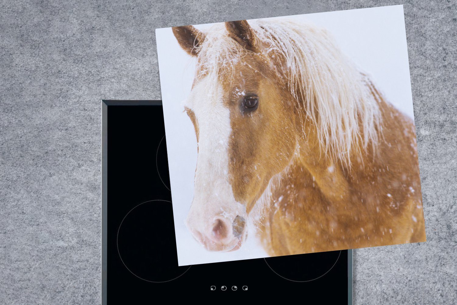 MuchoWow Herdblende-/Abdeckplatte Pferd - Ceranfeldabdeckung, Schnee Winter, küche Arbeitsplatte cm, 78x78 Vinyl, für - tlg), (1