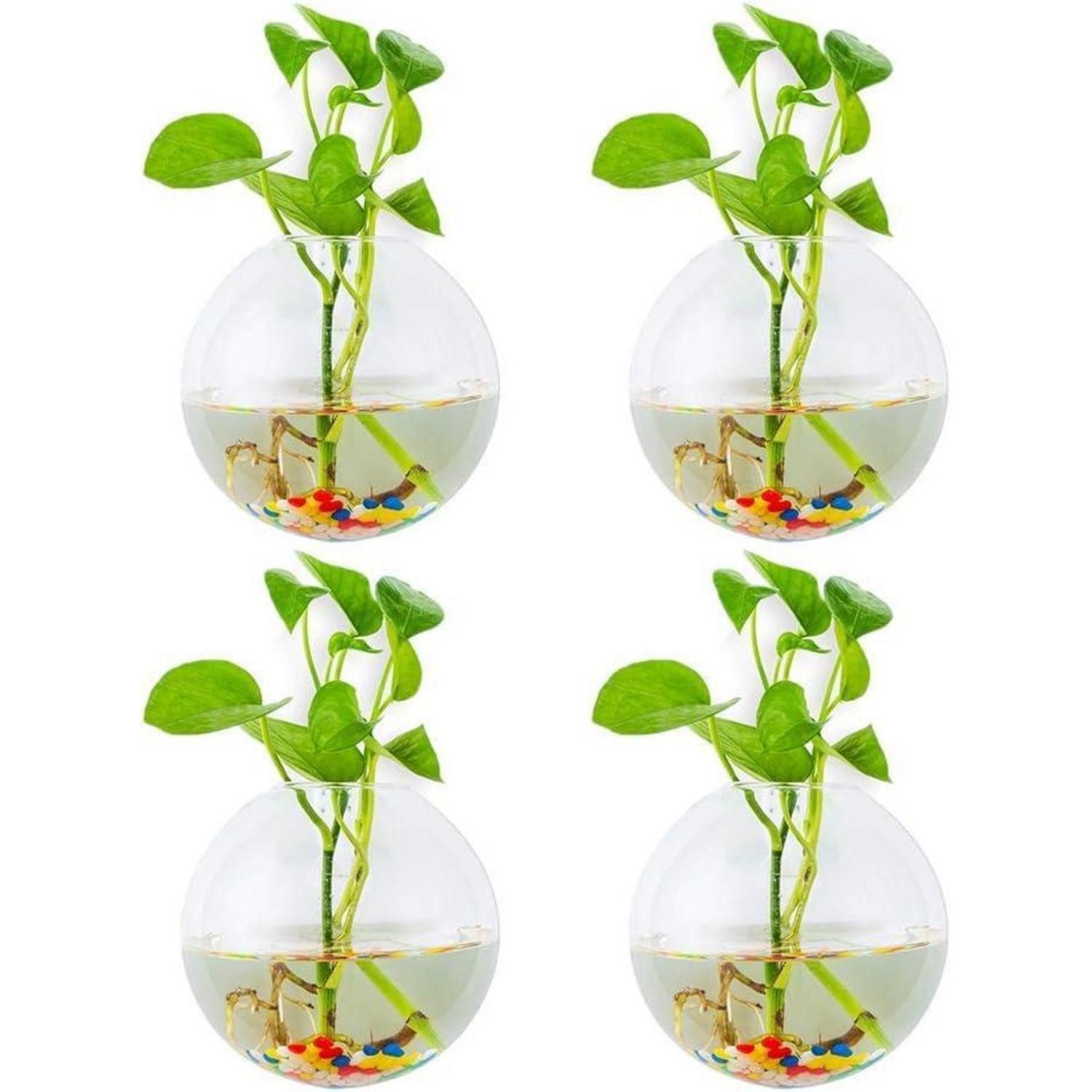 LuxusKollektion Gläser-Set Wandbehang Pflanzgefäße Glas Blumentöpfe Indoor Outdoor 4St Sphärisch
