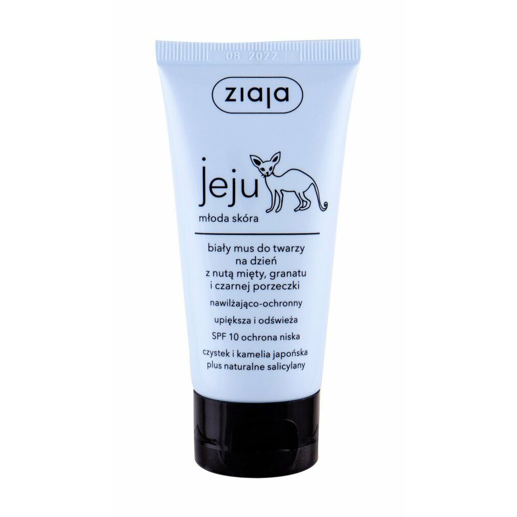 Ziaja Tagescreme Jeju White Face Mousse Moisturiser Day Cream Denni Pletovy Krem