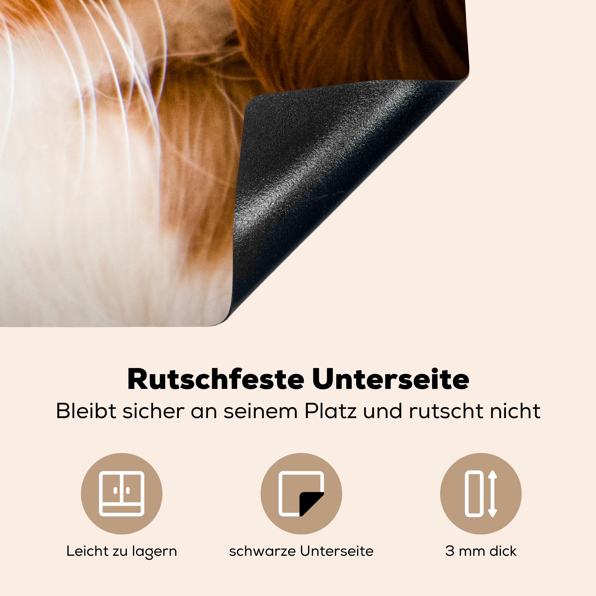 cm, Ceranfeldabdeckung, tlg), jungen MuchoWow Herdblende-/Abdeckplatte Vinyl, (1 für küche Welpen, Arbeitsplatte Ein 78x78 Porträt eines