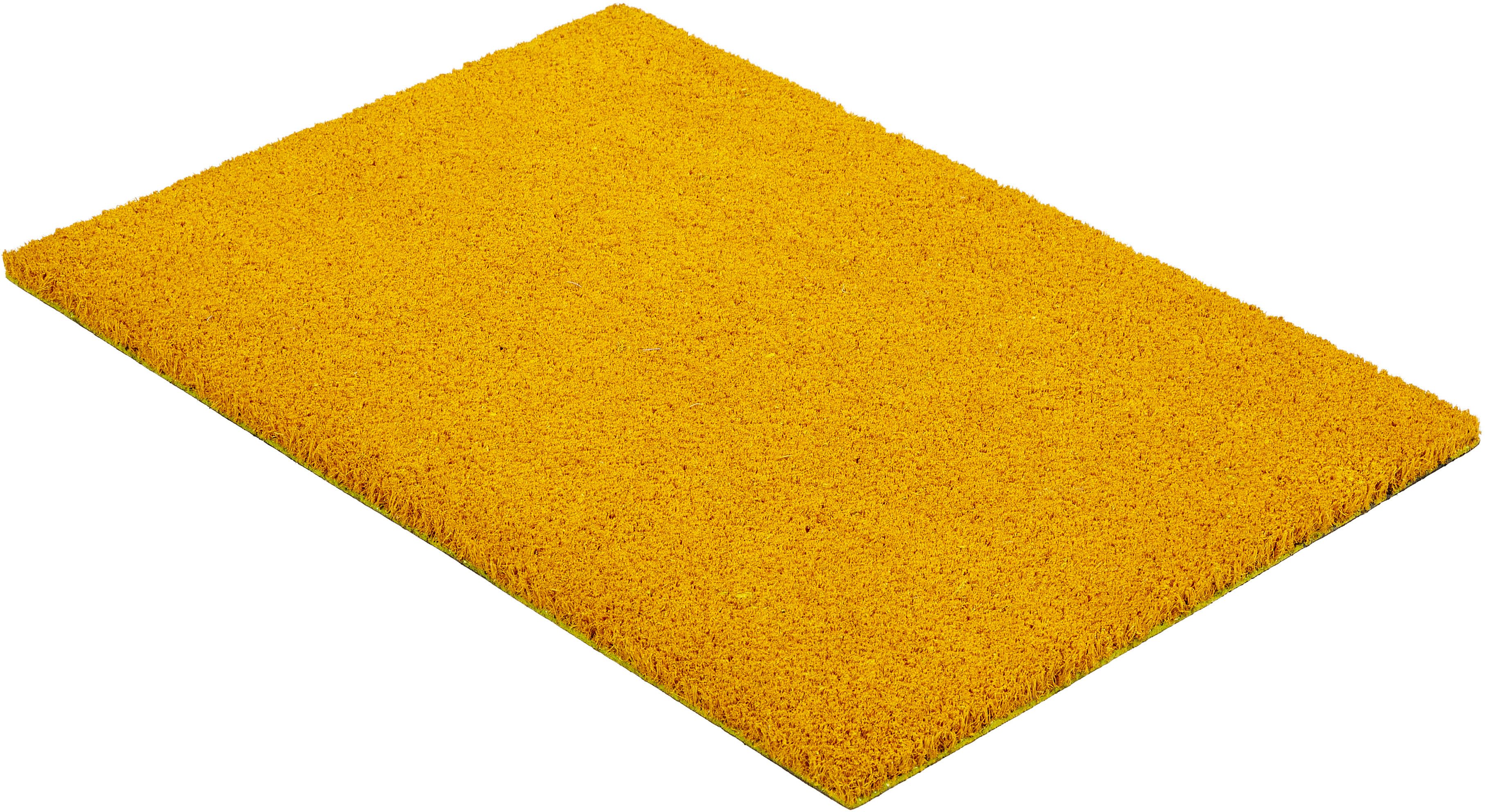 ASTRA Fußmatte Coco Color Trend, rechteckig, Höhe: 15 mm, Kokos Türmatte, Aussenbereich, moderne Farben