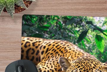 MuchoWow Gaming Mauspad Jaguar ruht (1-St), Mousepad mit Rutschfester Unterseite, Gaming, 40x40 cm, XXL, Großes