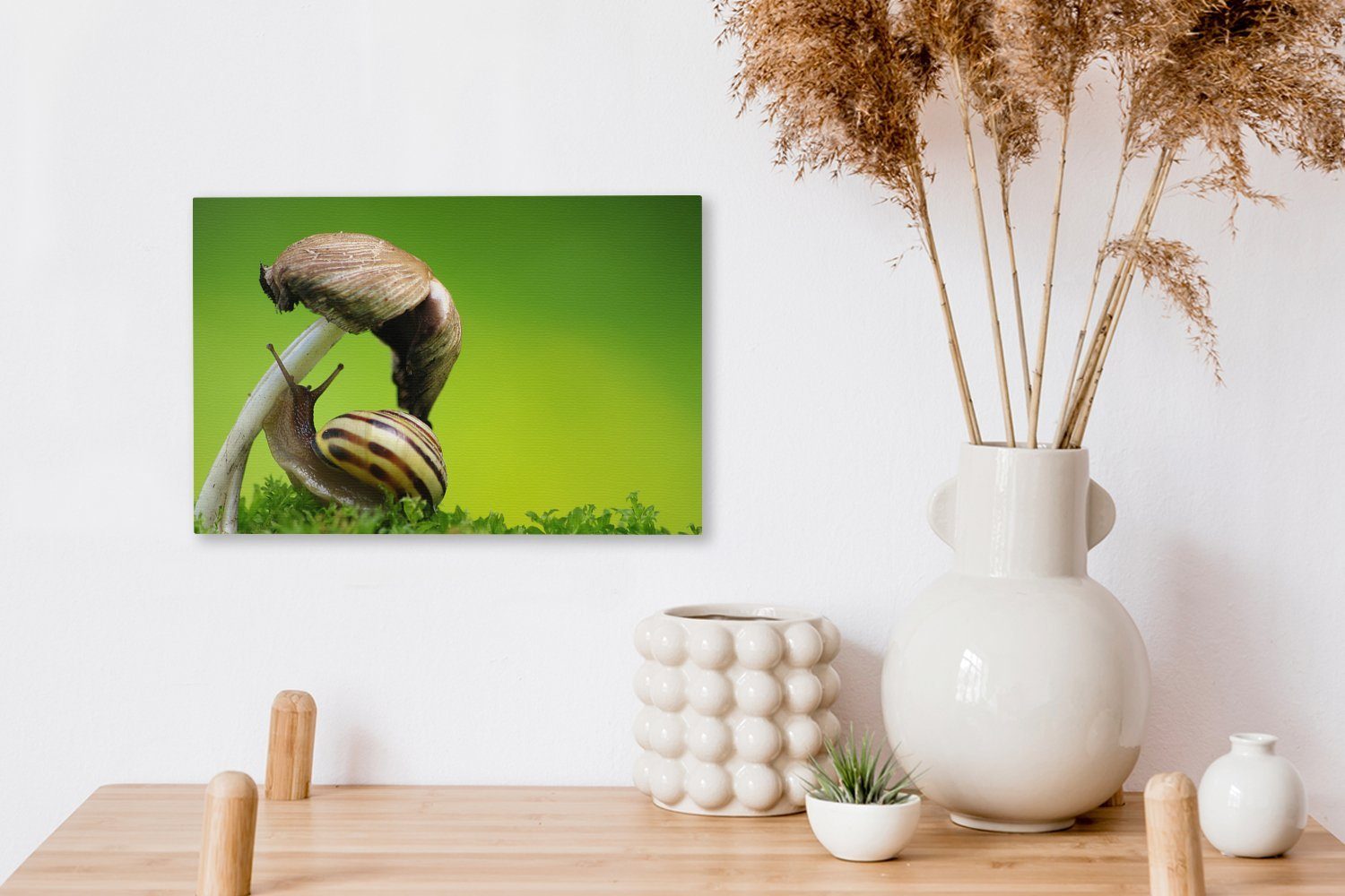 Aufhängefertig, (1 klettert Schnecke Pilz, Wanddeko, Wandbild 30x20 cm OneMillionCanvasses® auf Leinwandbild St), Leinwandbilder,