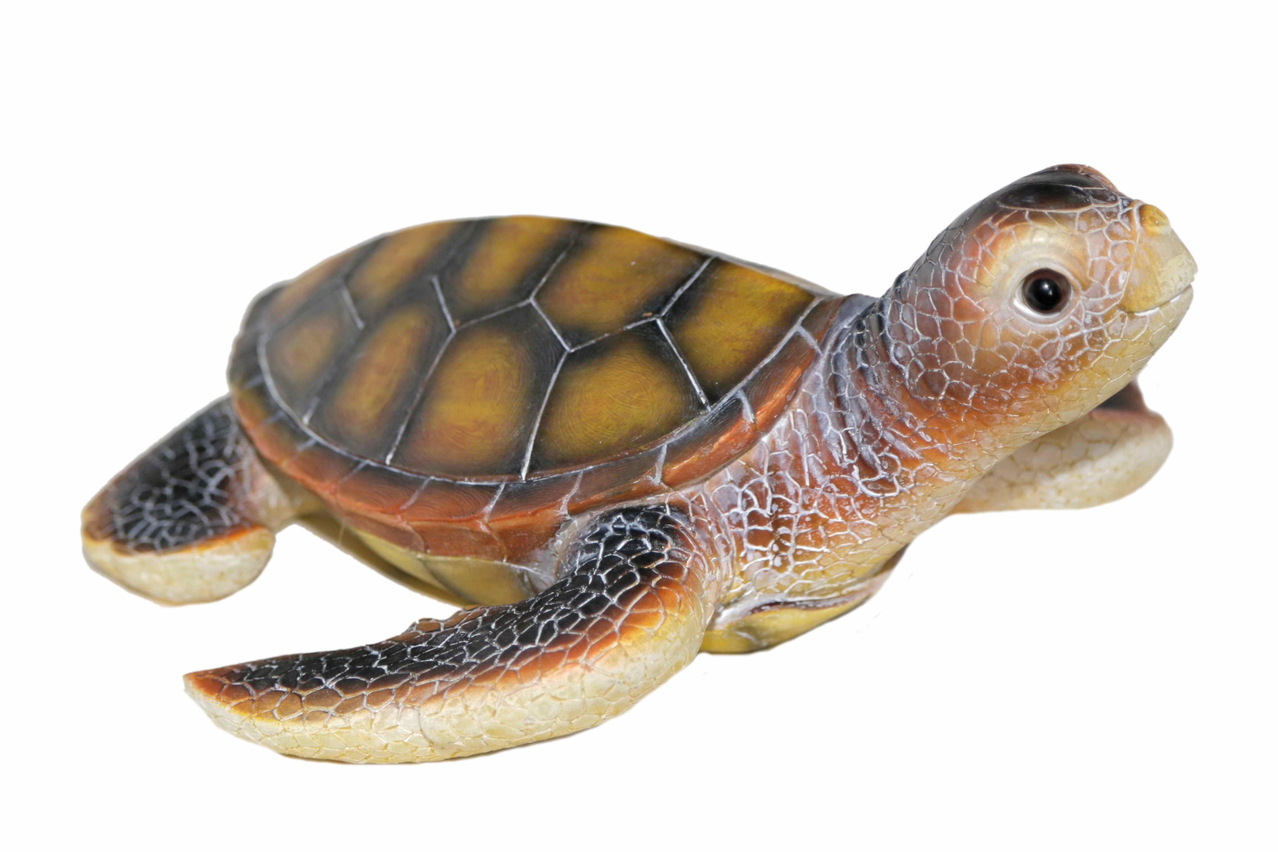 Casa Collection by Jänig Tierfigur Wasserschildkröte günstig online kaufen