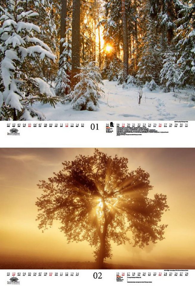 Thumbnail - Seelenzauber Wandkalender Sonnenzauber DIN A3 Kalender für 2025 Sonne