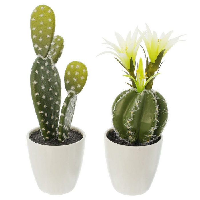 Kunstpflanze Kaktus HomeLiving