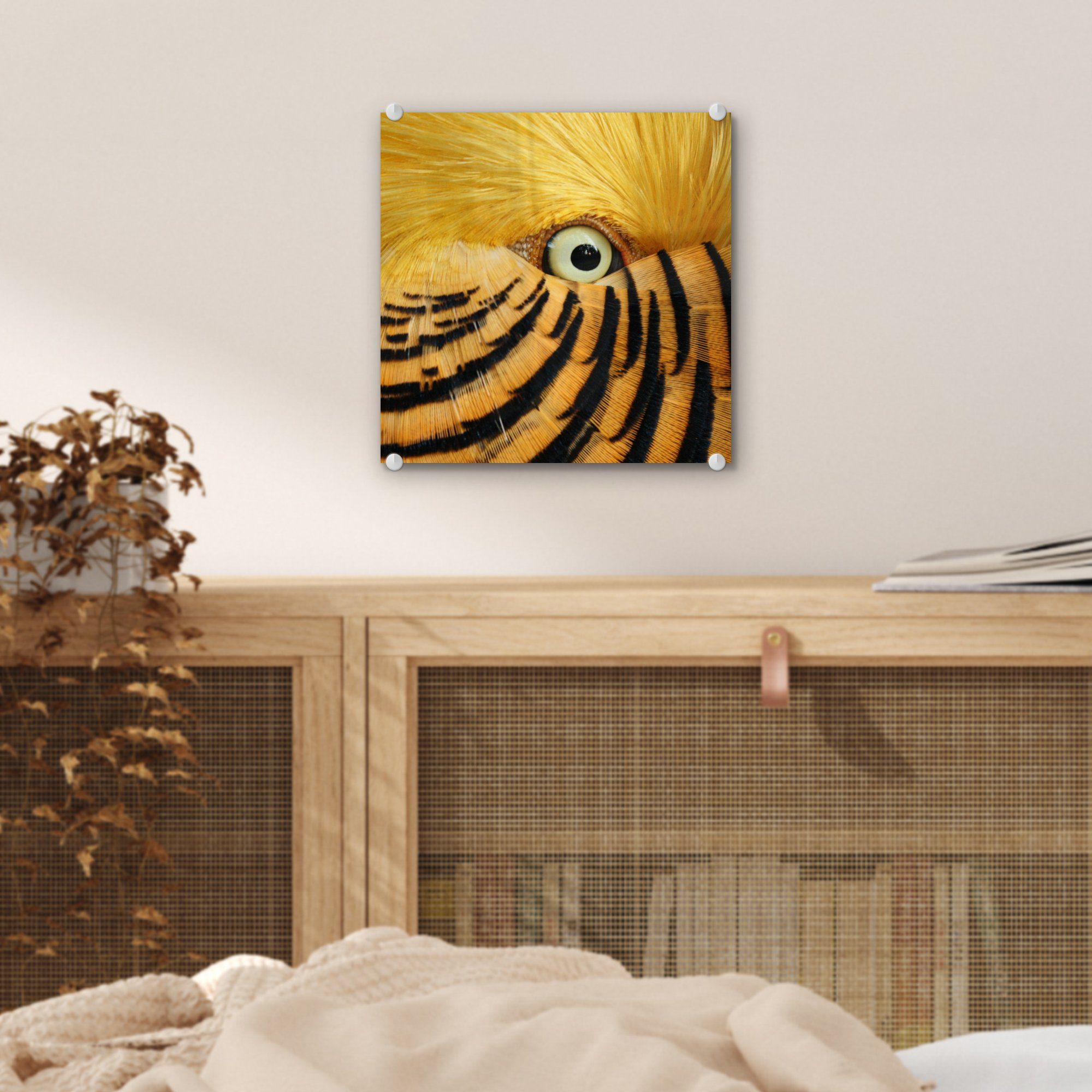 MuchoWow Acrylglasbild Nahaufnahme des Auges auf Glas - gelben und Federn Wandbild mit eines Vogels Wanddekoration St), schwarzen, Bilder auf Glas - - (1 Foto Glasbilder