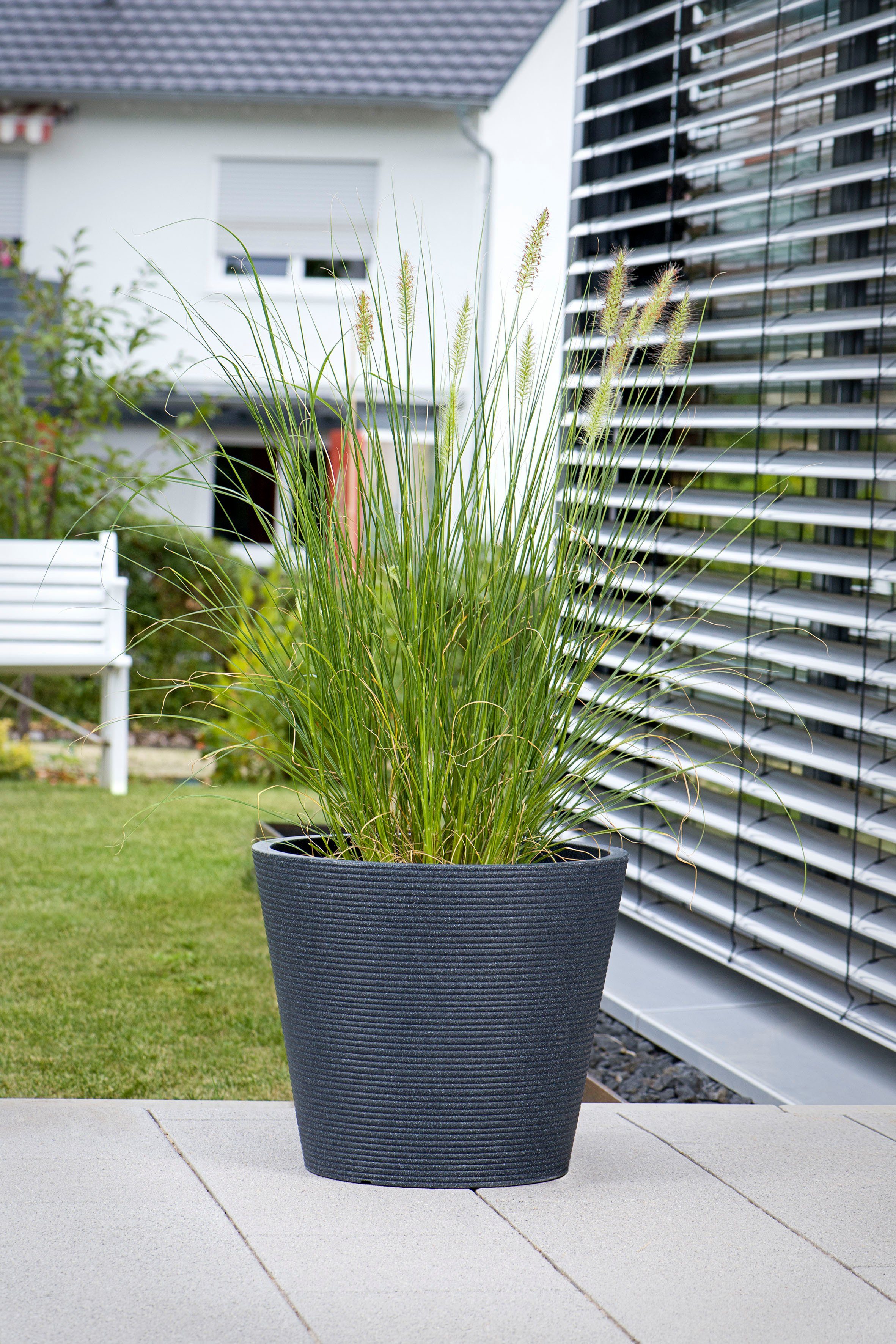 Thumbnail - Scheurich Blumentopf 30/242 CONEO 30