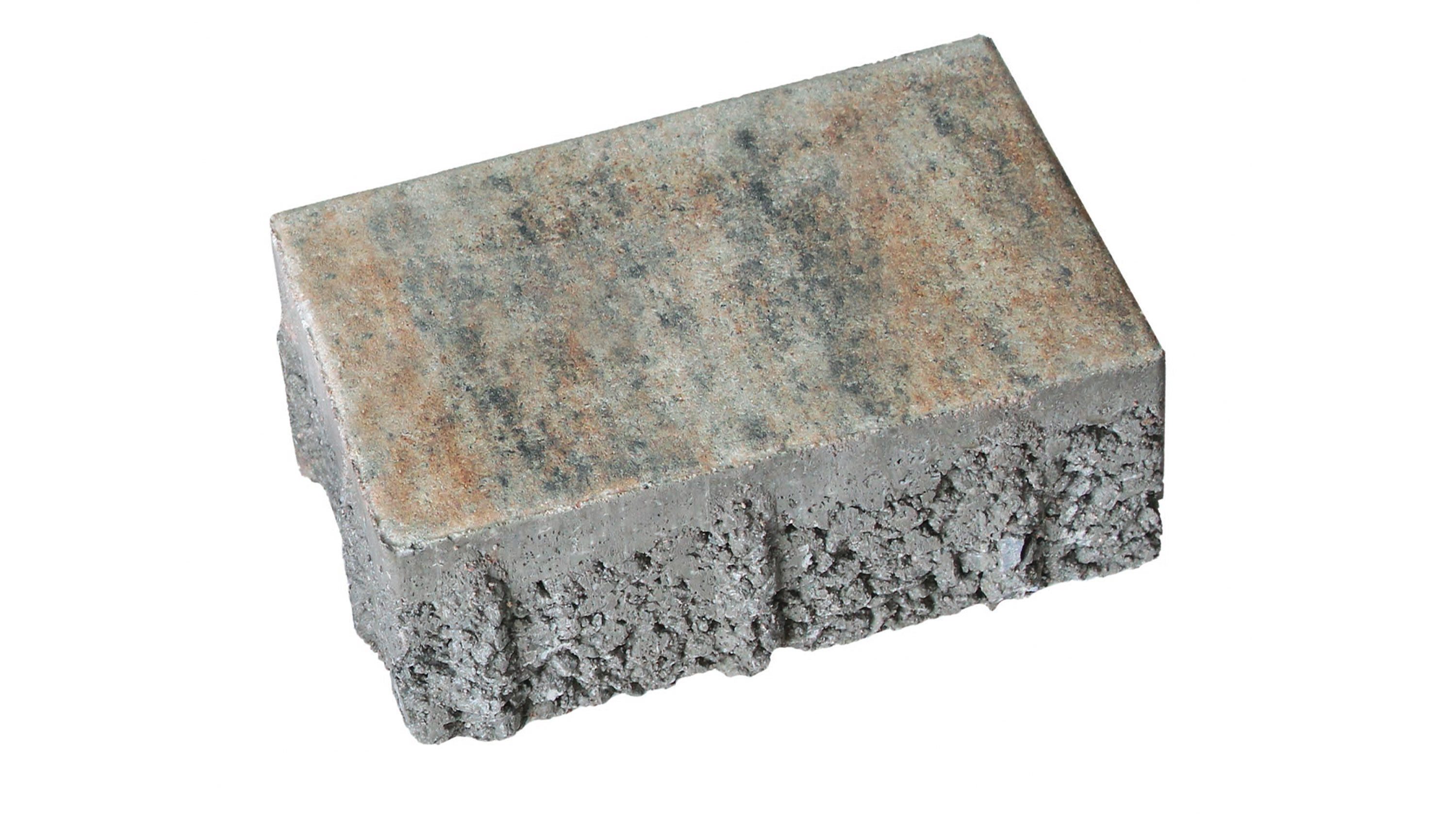 Porenbeton CALVODRAIN MUSCHELKALK 30/15/6 CM PE2