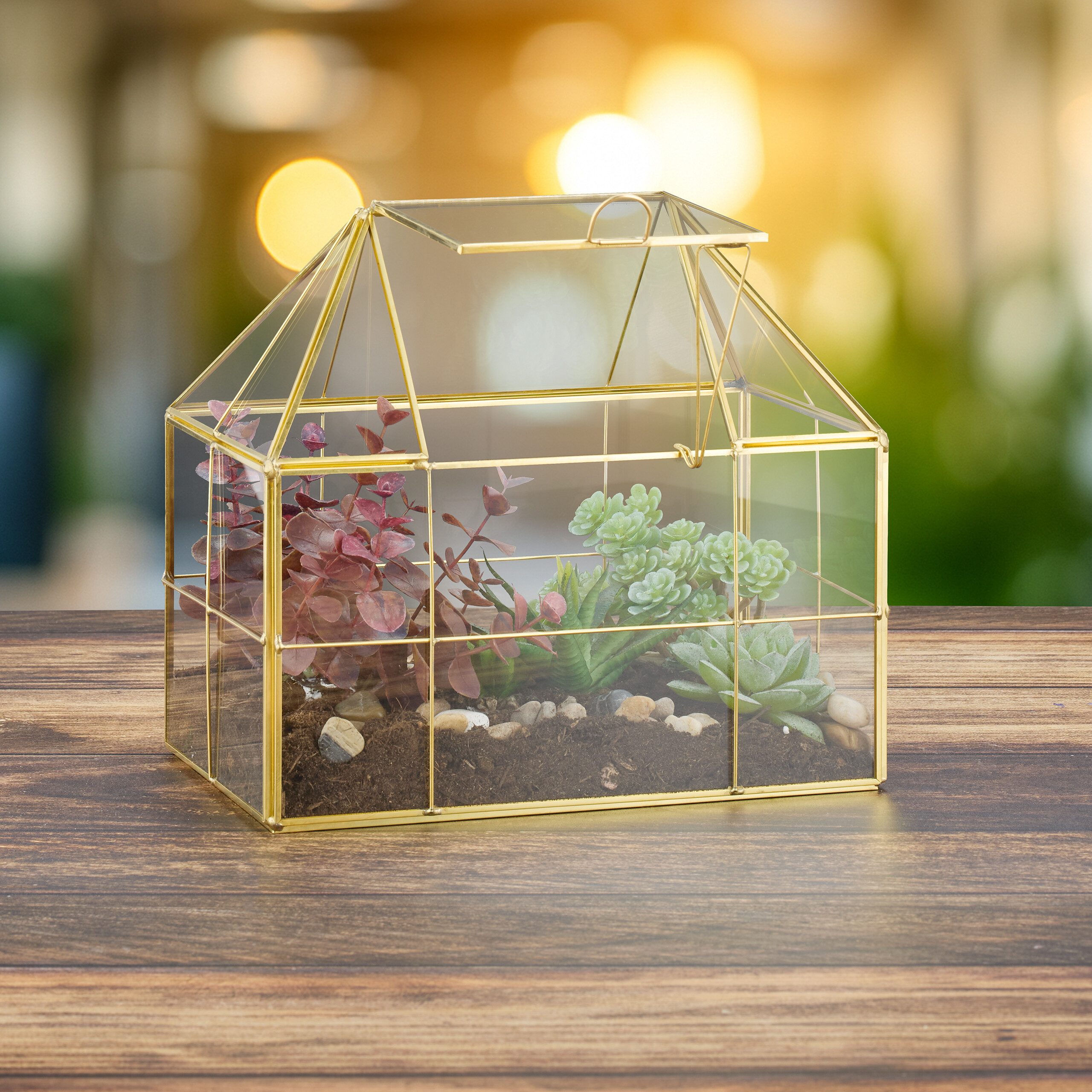 relaxdays Gewächshaus Pflanzenterrarium aus Glas Hausform, BxTxH: 23 x 14 x 21 cm, BxLxH: 23 x 14 x 21 cm, 0.5 mm Wandstärke, 1-St., schwarz – Bild 3 von 5