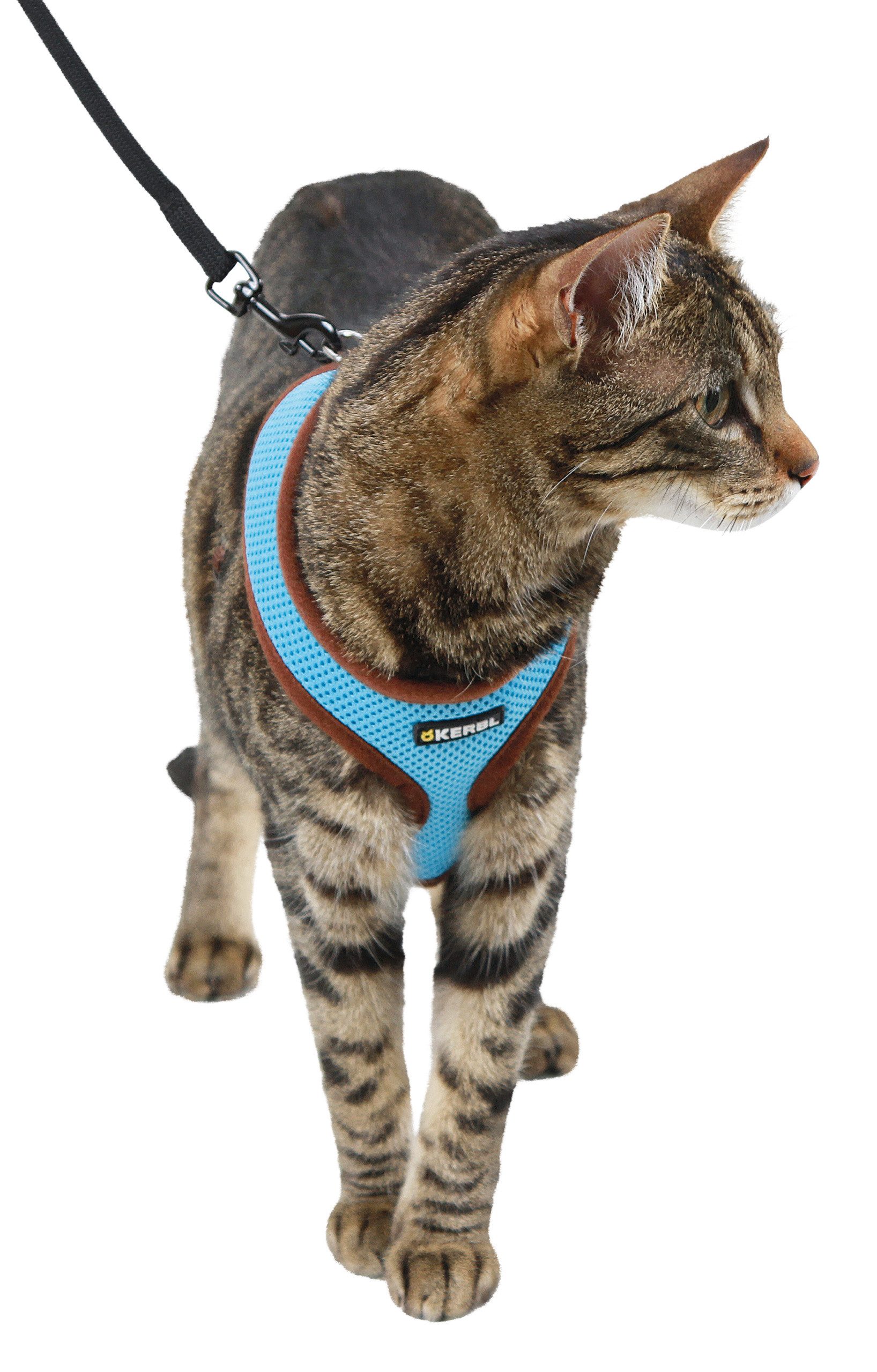 Thumbnail - Kerbl Katzen-Halsband