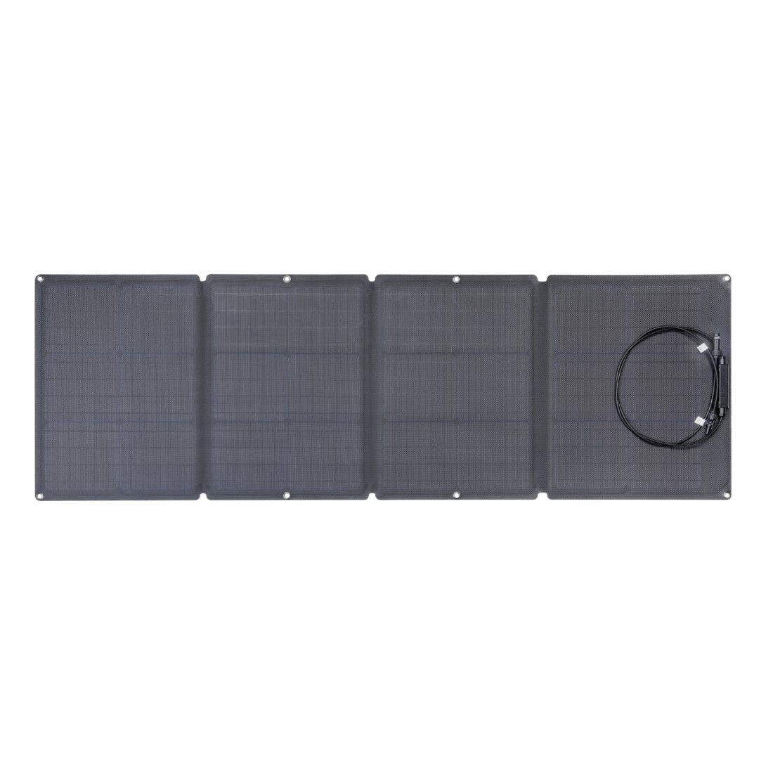 Ecoflow Panel Smart-Home-Station Ecoflow 110W Solar