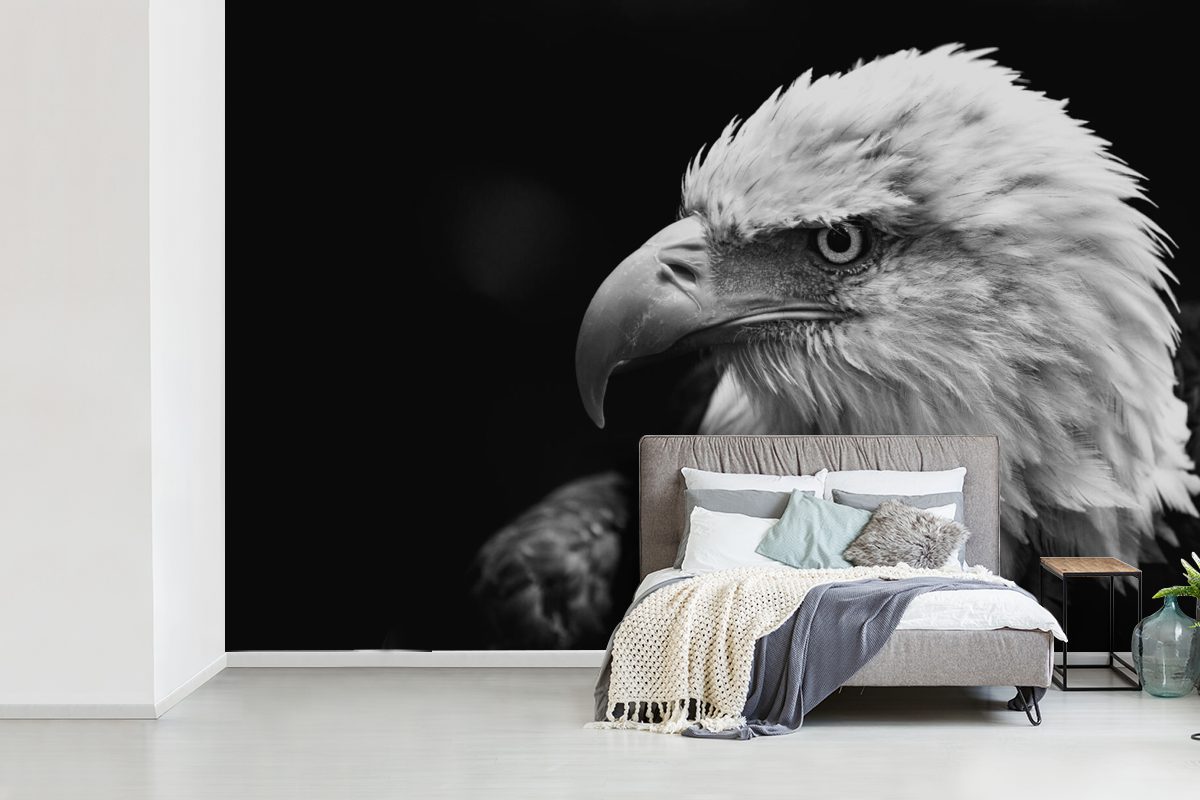 MuchoWow Fototapete Eagle - Schwarz, bedruckt, Kinderzimmer, (6 Tapete Wohnzimmer, Wallpaper Matt, - Schlafzimmer, St), für Vinyl Makro