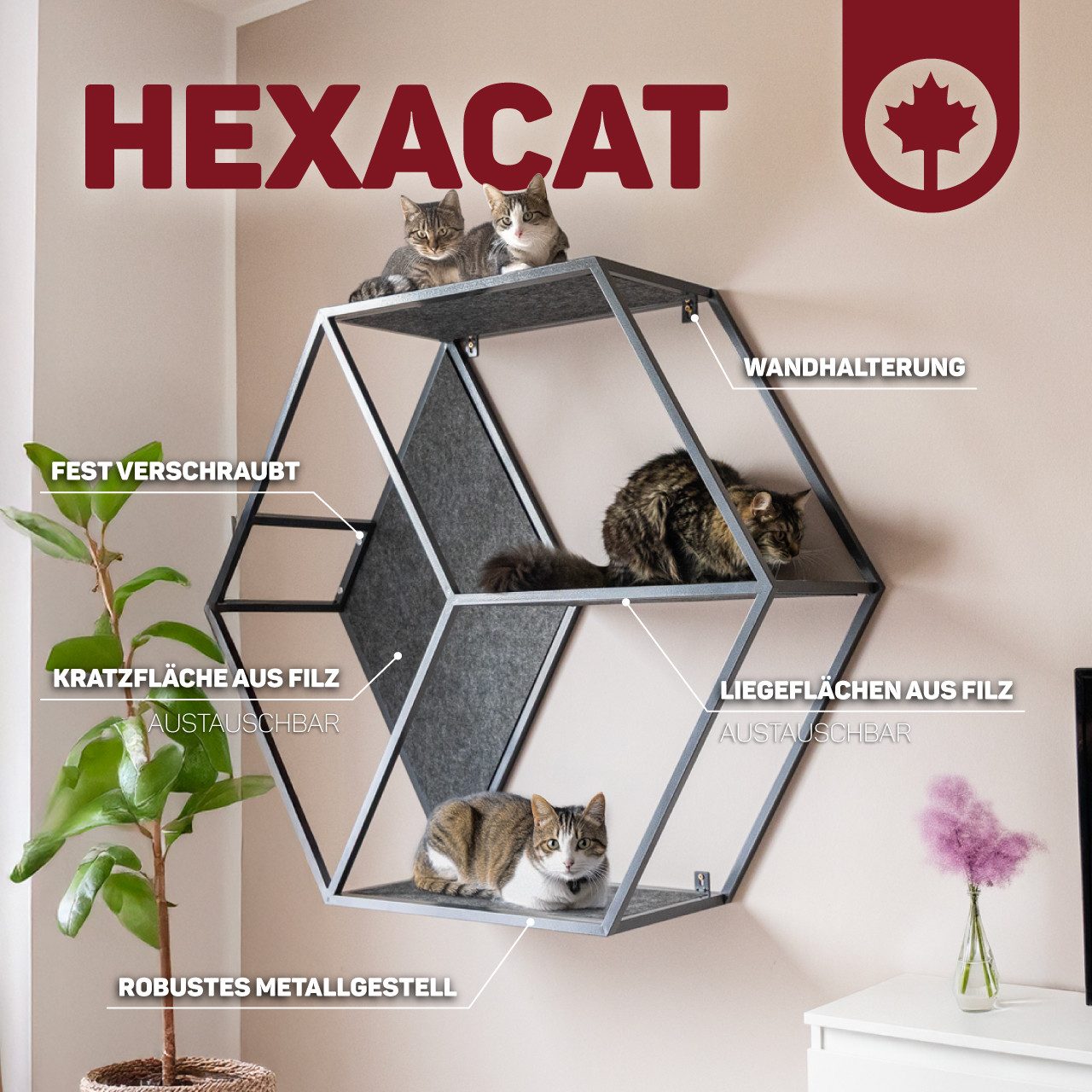 Canadian Cat Company Katzen-Wandregal HexaCat Katzenregal/Kratzbaum günstig online kaufen