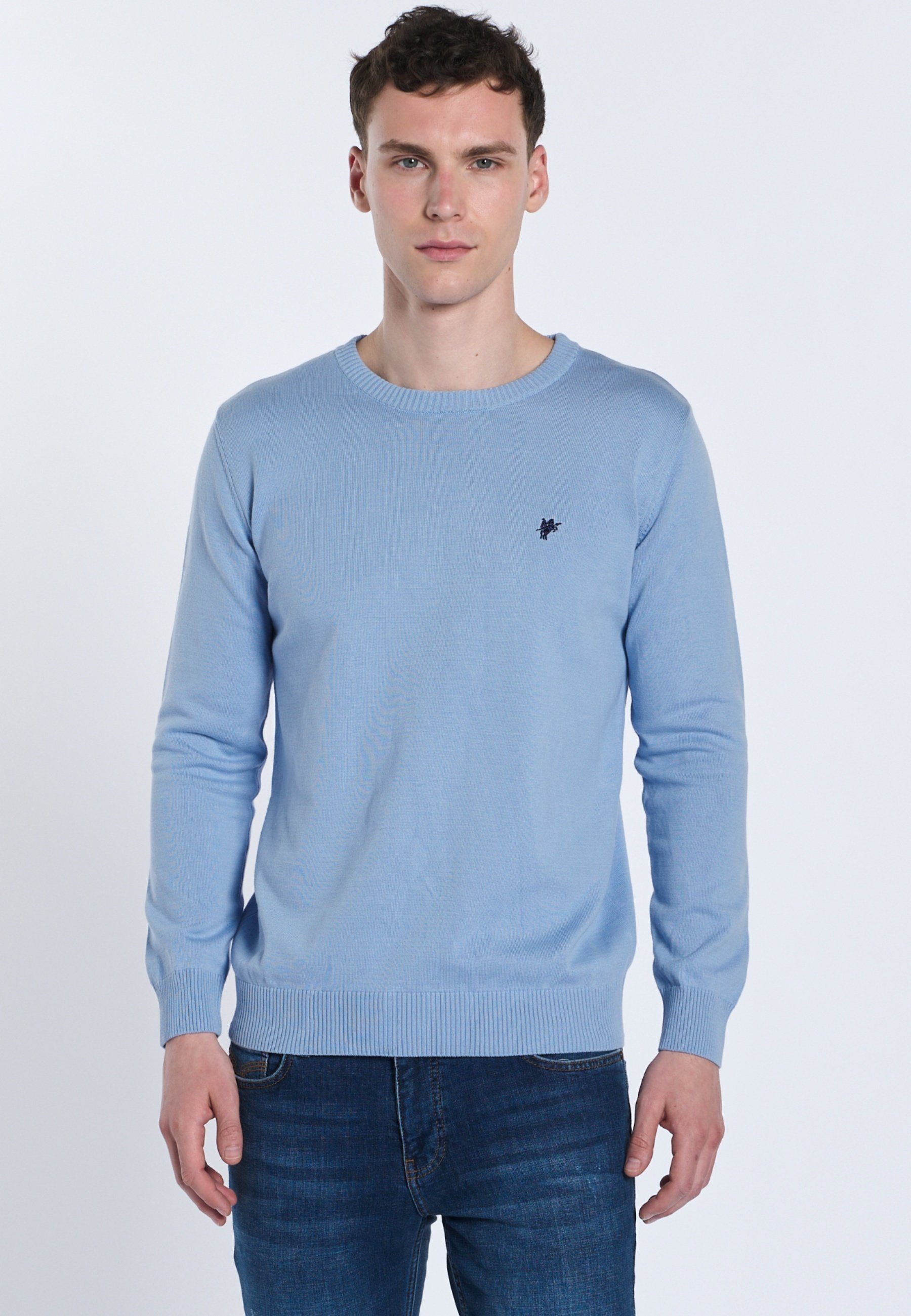 DENIM CULTURE Strickpullover NARCISO (1-tlg)