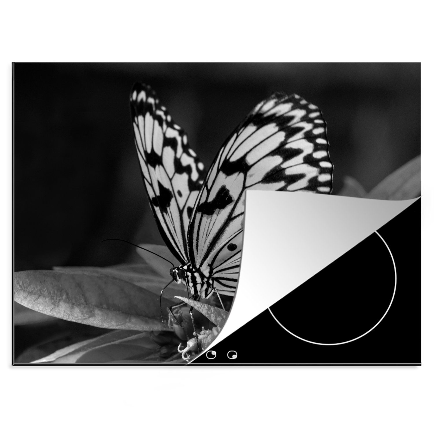 leuconoe Arbeitsfläche cm, 70x52 Mobile mit (1 Schmetterling Vinyl, oben nutzbar, Idea tlg), - MuchoWow weiß, Flügeln Herdblende-/Abdeckplatte und Ceranfeldabdeckung schwarz