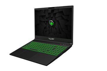 Tulpar A5 V20.3 Gaming-Notebook (Intel Core i7 13700H, RTX 4050, 1000 GB SSD, 1920X1080 144HZ IPS LED-Display, Single Zone Beleuchtete Tastatur)