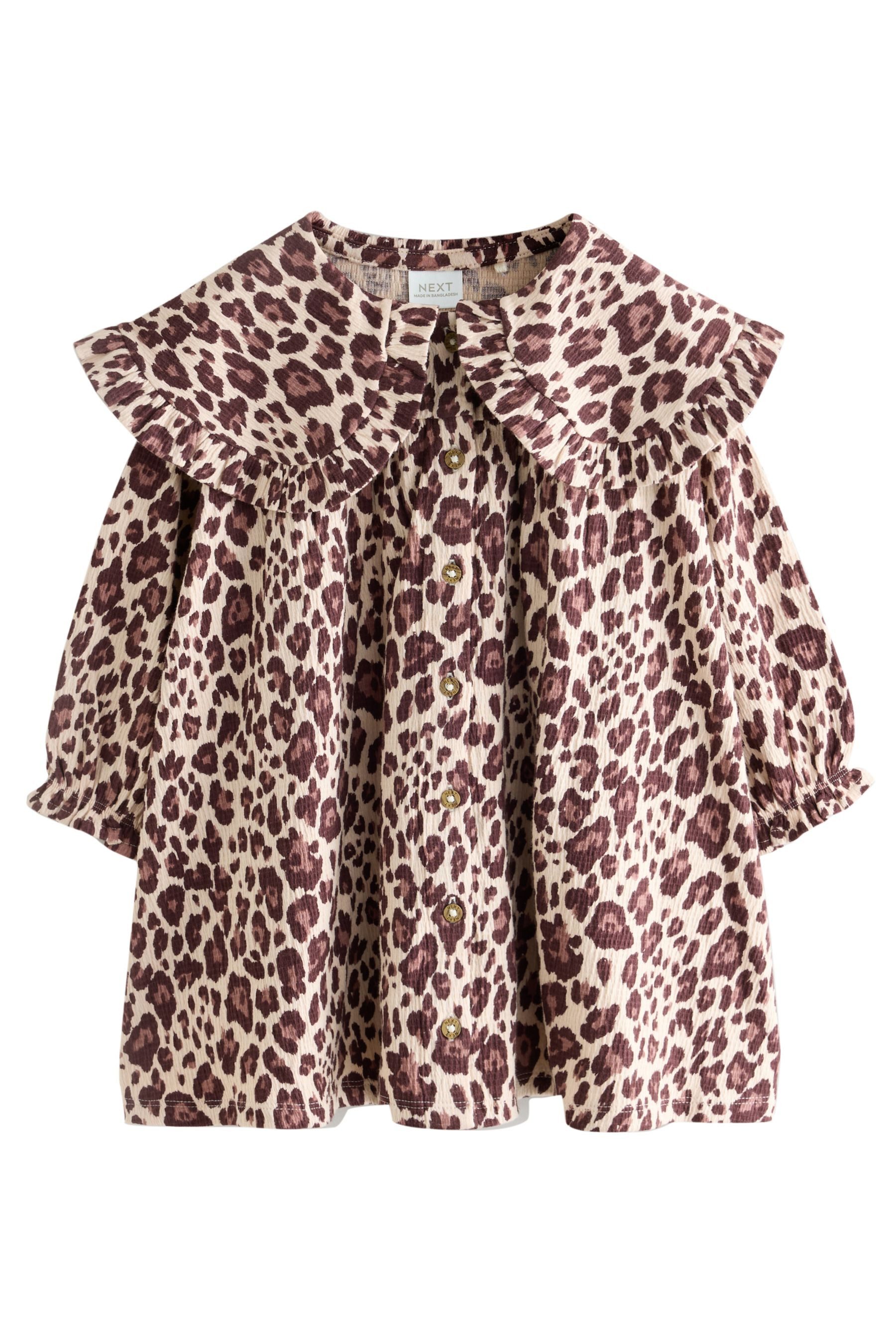 Next Jerseykleid Langarmkleid mit Kragen (1-tlg)