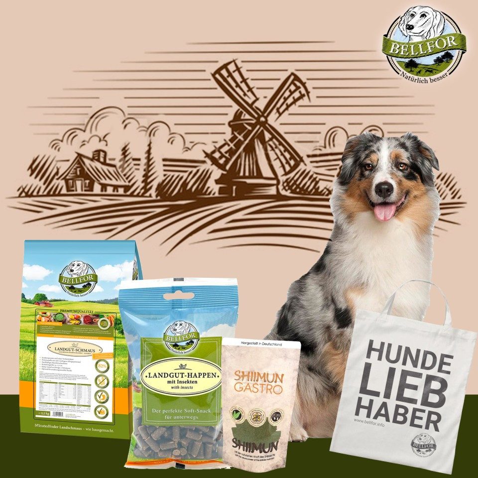 Bellfor Bellfor Futterset für mittelgroße Hunde mit Verdauungsproblemen, für: Hunde