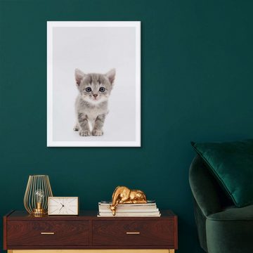 Posterlounge Leinwandbild Animal Kids Collection, Neugieriges Kätzchen, Jungenzimmer Skandinavisch Fotografie