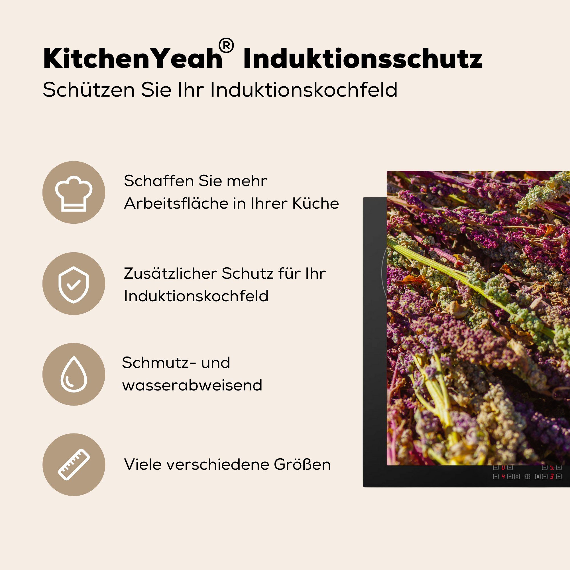 MuchoWow Herdblende-/Abdeckplatte küche, Schutz die 81x52 Farben Induktionskochfeld Ceranfeldabdeckung für der einem Vinyl, (1 tlg), Haufen, Violette in cm, Quinoa-Pflanzen