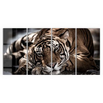 DEQORI Glasbild 'Ruhender Bengal Tiger', 'Ruhender Bengal Tiger', Glas Wandbild Bild schwebend modern