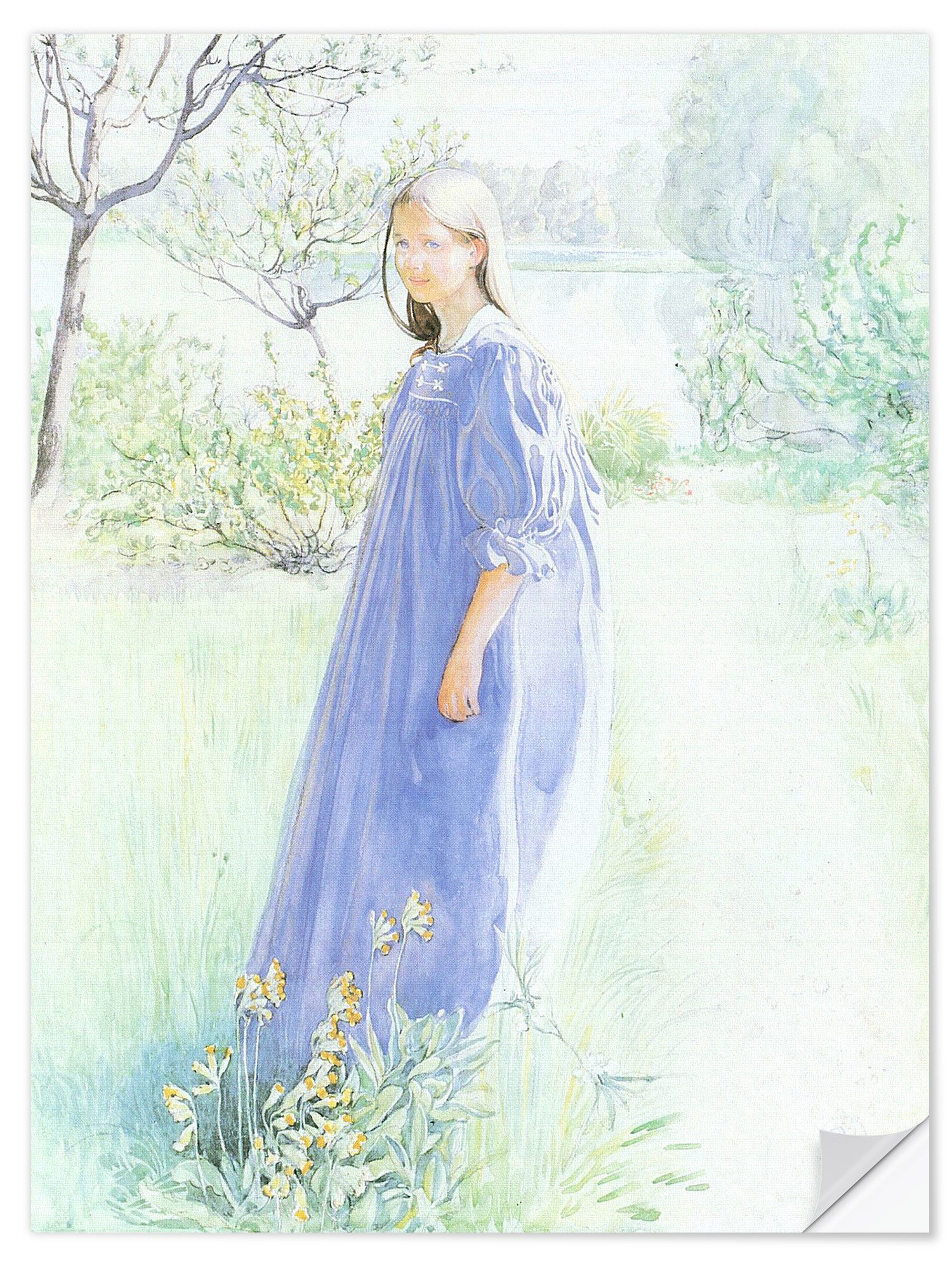 Wandfolie Carl Larsson