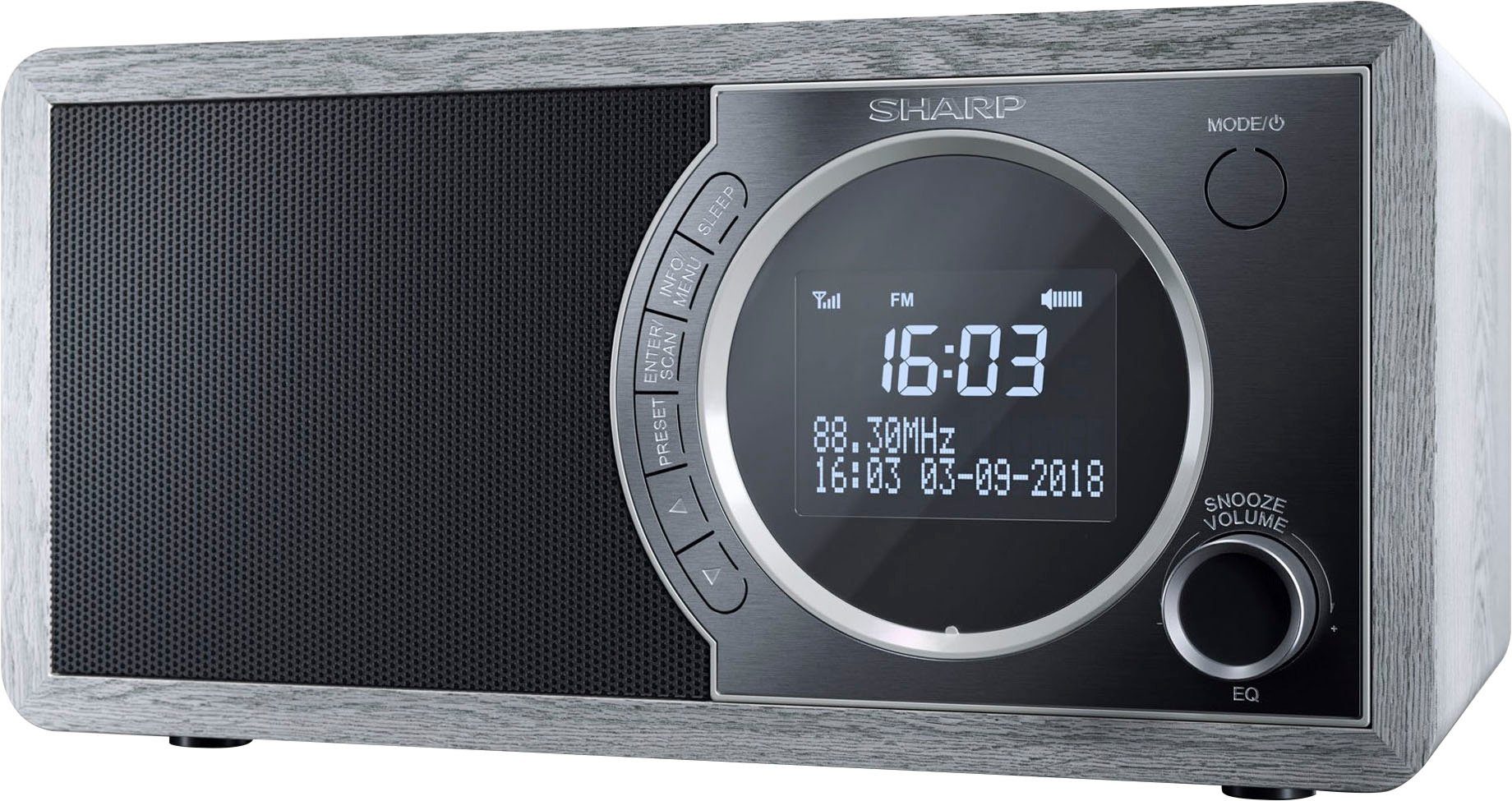 Sharp DR-450 Digitalradio (DAB) (Digitalradio (DAB), Automatische Senderverfolgung, FM-Tuner mit RDS, 6 W)