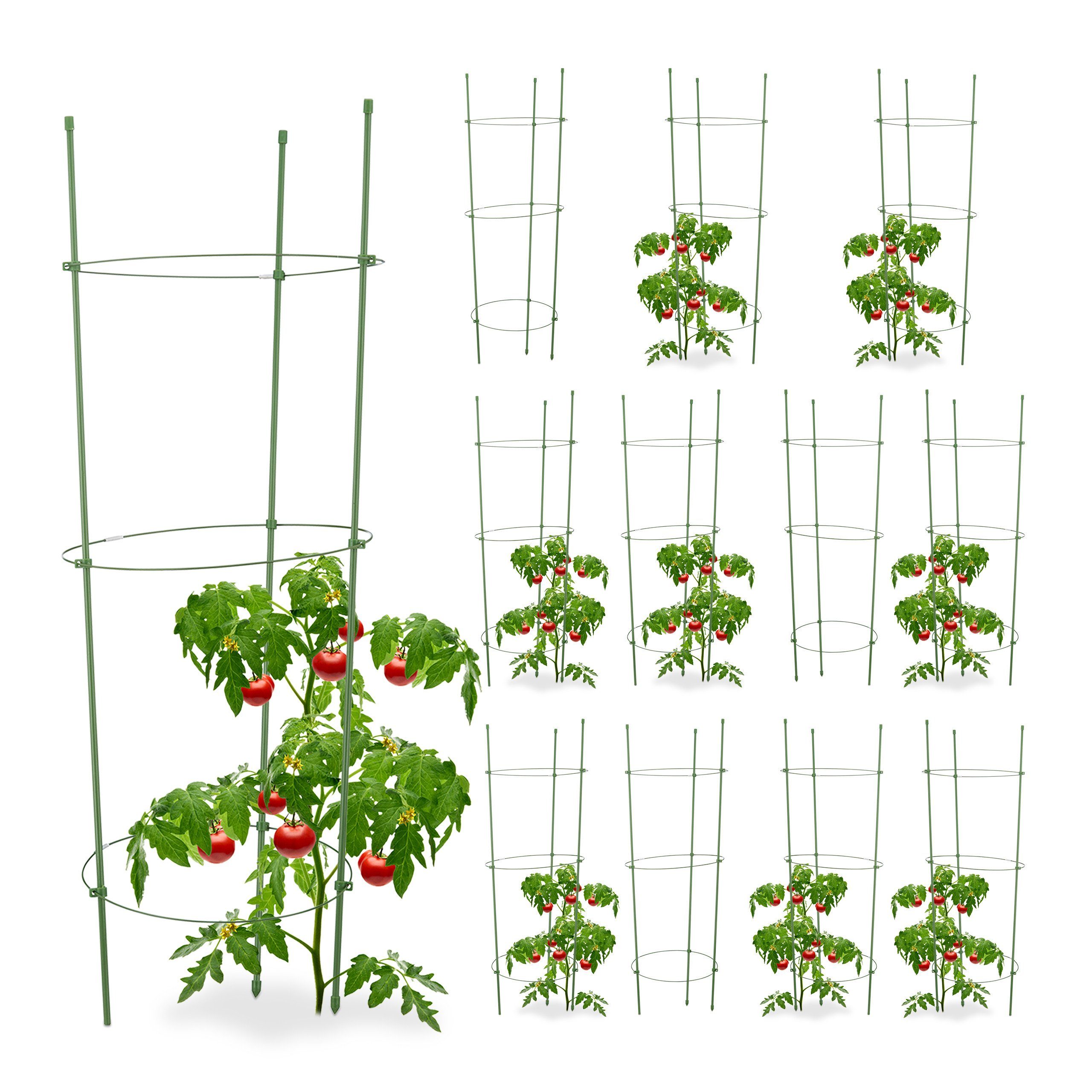Rankhilfe 12 x Rankhilfe Tomaten