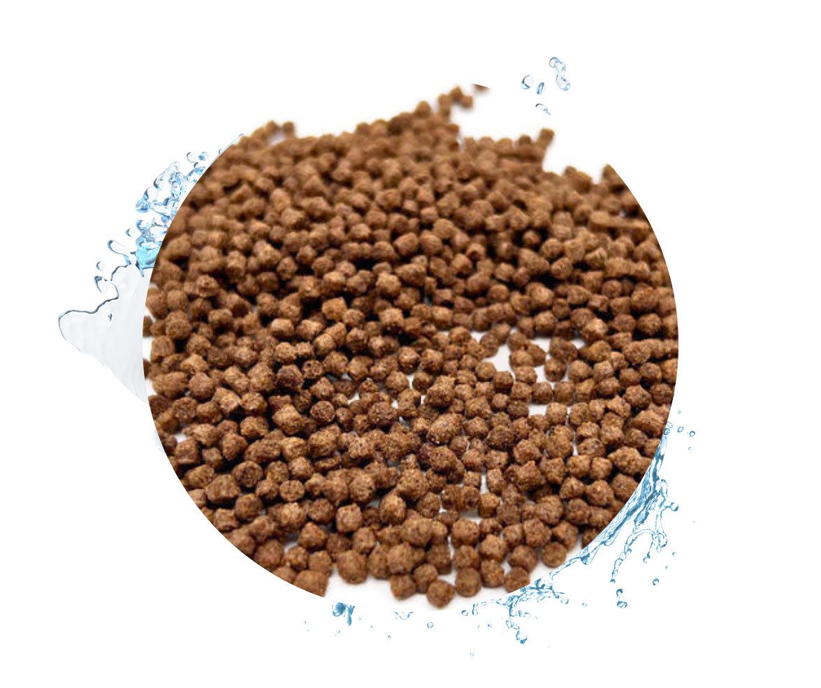 Warnick´s Tierfutterservice Koifutter Top Energy Plus - Leistungsfutter für Koi / Zierkarpfen 3mm, Hauptfutter für: Fische, Koi, Zierkarpfen, Teichfische