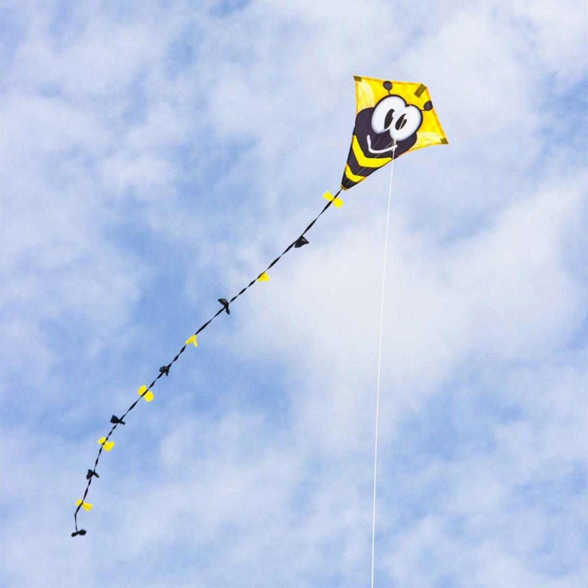 HQ Flug-Drache Kinderdrachen Einleiner Drachen HQ Eddy Bumble Bee 50 cm Flugdrachen, (1-tlg), 2,5 m Drachenschwanz
