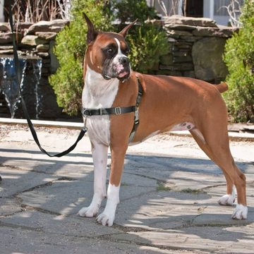 PetSafe Hunde-Halsband Hundegeschirr Easy Walk S Schwarz, Nylon