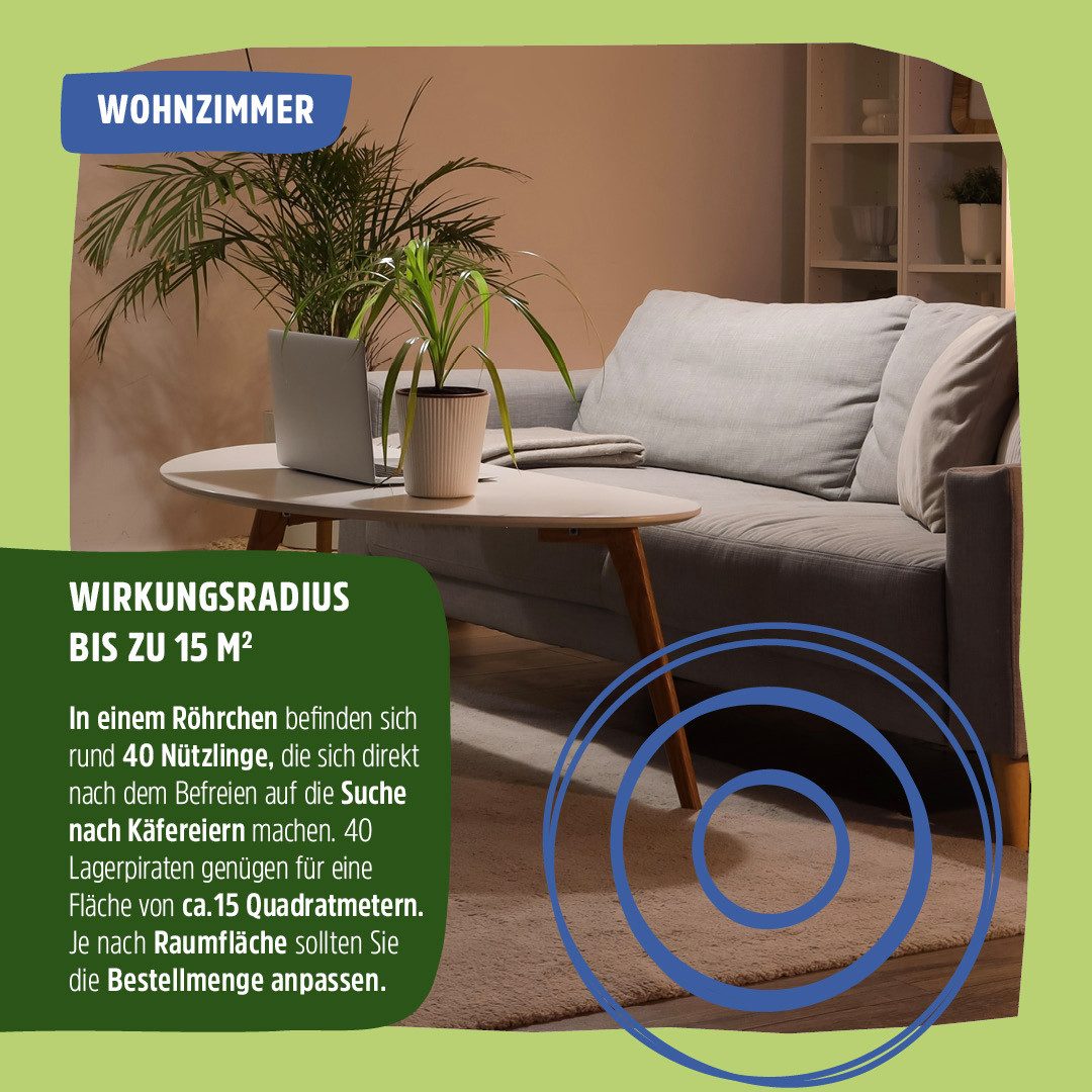 Futura-Shop Schlupfwespen Nützling Lagerpiraten gegen Speckkäfer, Khaprakäfer und Reismehlkäfer, 100% Biologisch