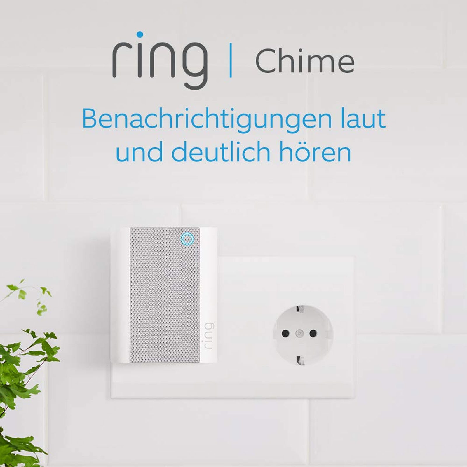 Ring Überwachungskamera Chime (2. Gen)
