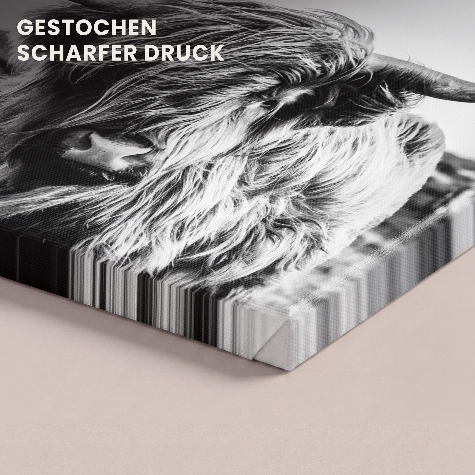 OneMillionCanvasses® Leinwandbild Kuh - Schottischer Hochländer - Schwarz - Weiß - Tier - Natur - Wildti, Fotodruck (1 St), Wandbild, Deko Schlafzimmer Wohnzimm – Bild 3 von 5