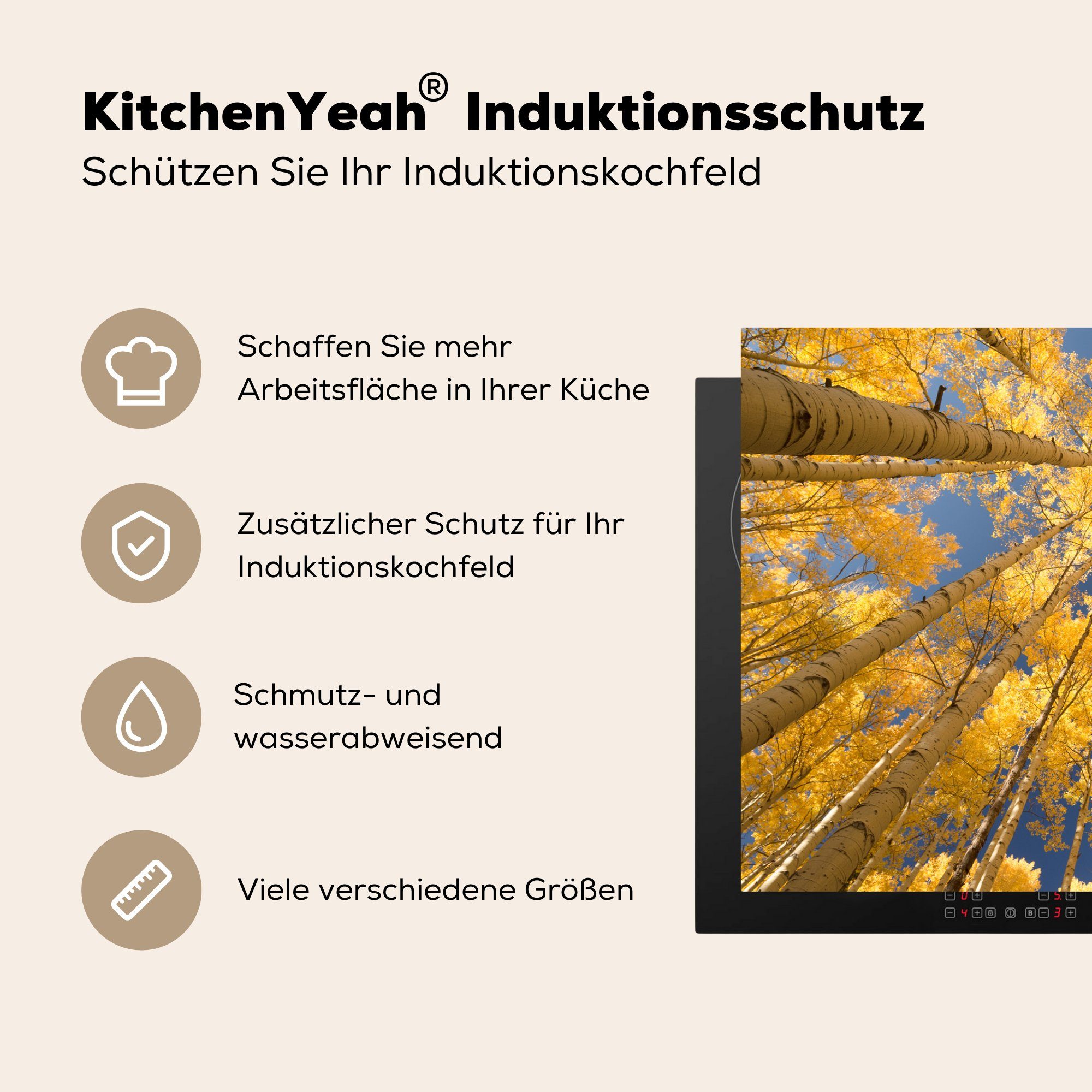 Induktionskochfeld küche, mit Vinyl, Blättern Schutz gelben die tlg), Ceranfeldabdeckung Herdblende-/Abdeckplatte (1 cm, Froschperspektive, in für Birke 81x52 MuchoWow