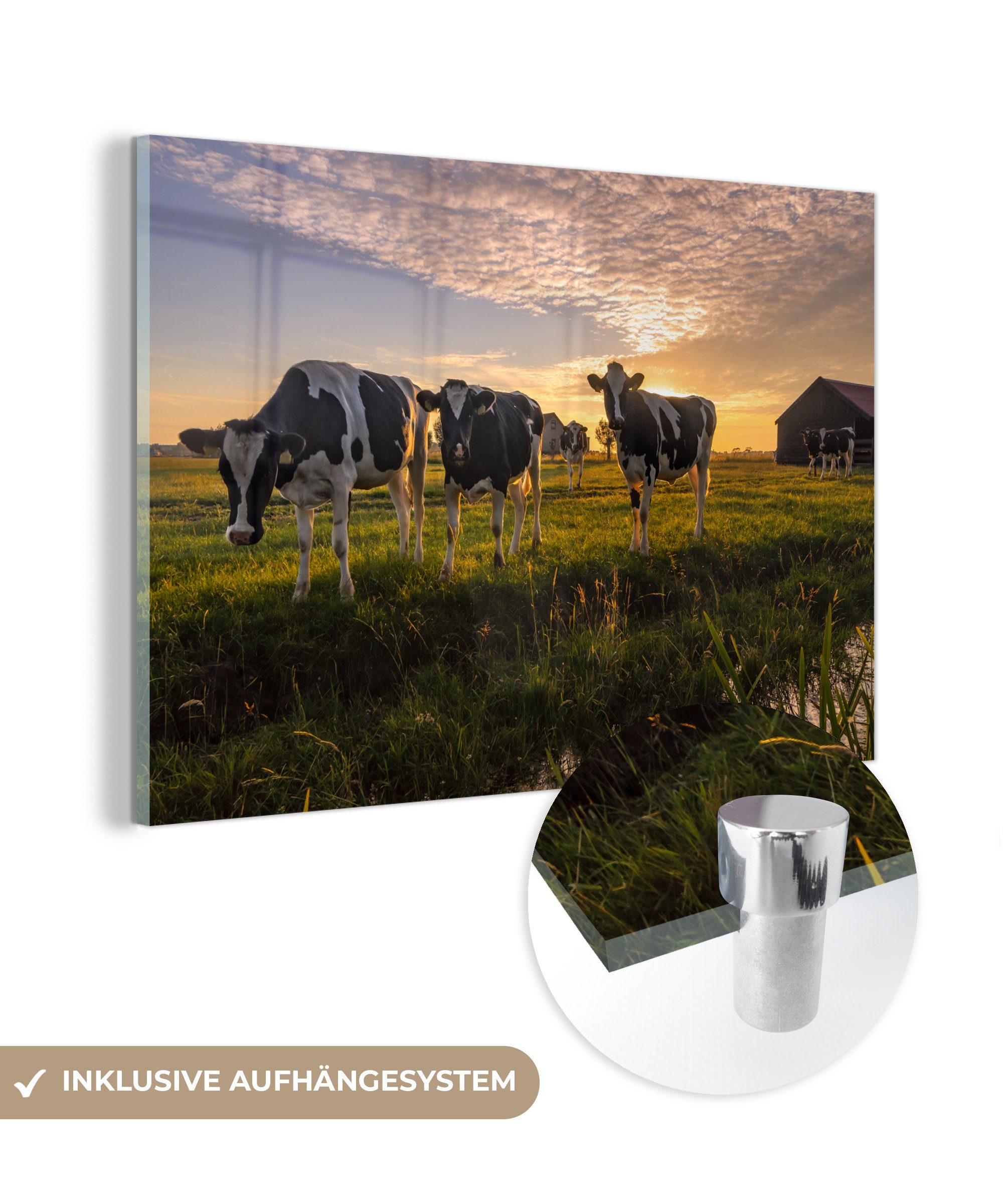 MuchoWow Acrylglasbild Kuh - Tier - Wiese, (1 St), Acrylglasbilder Wohnzimmer & Schlafzimmer