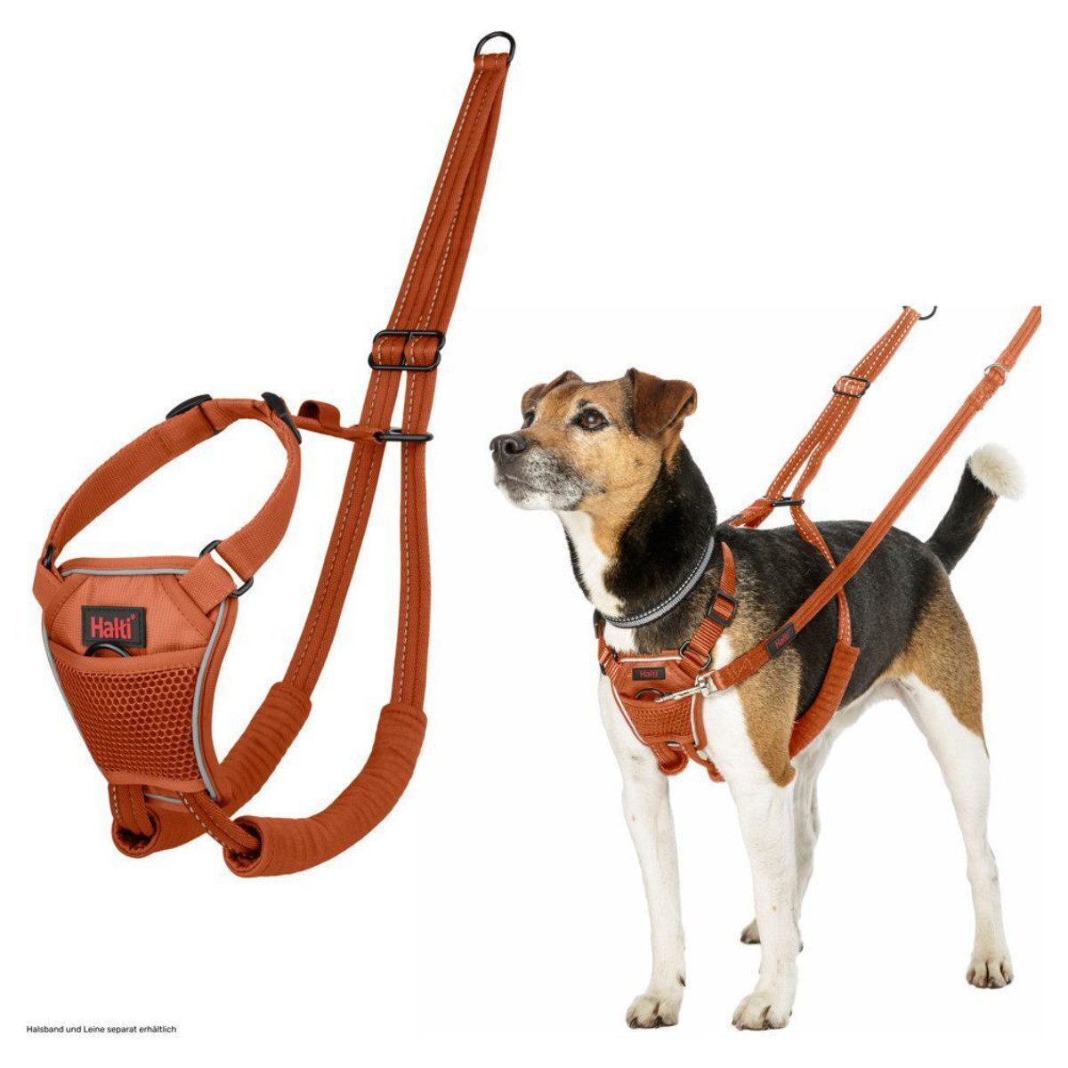 HALTI Hunde-Erziehungsgeschirr Erziehungsgeschirr No Pull Harness Burnt Orange