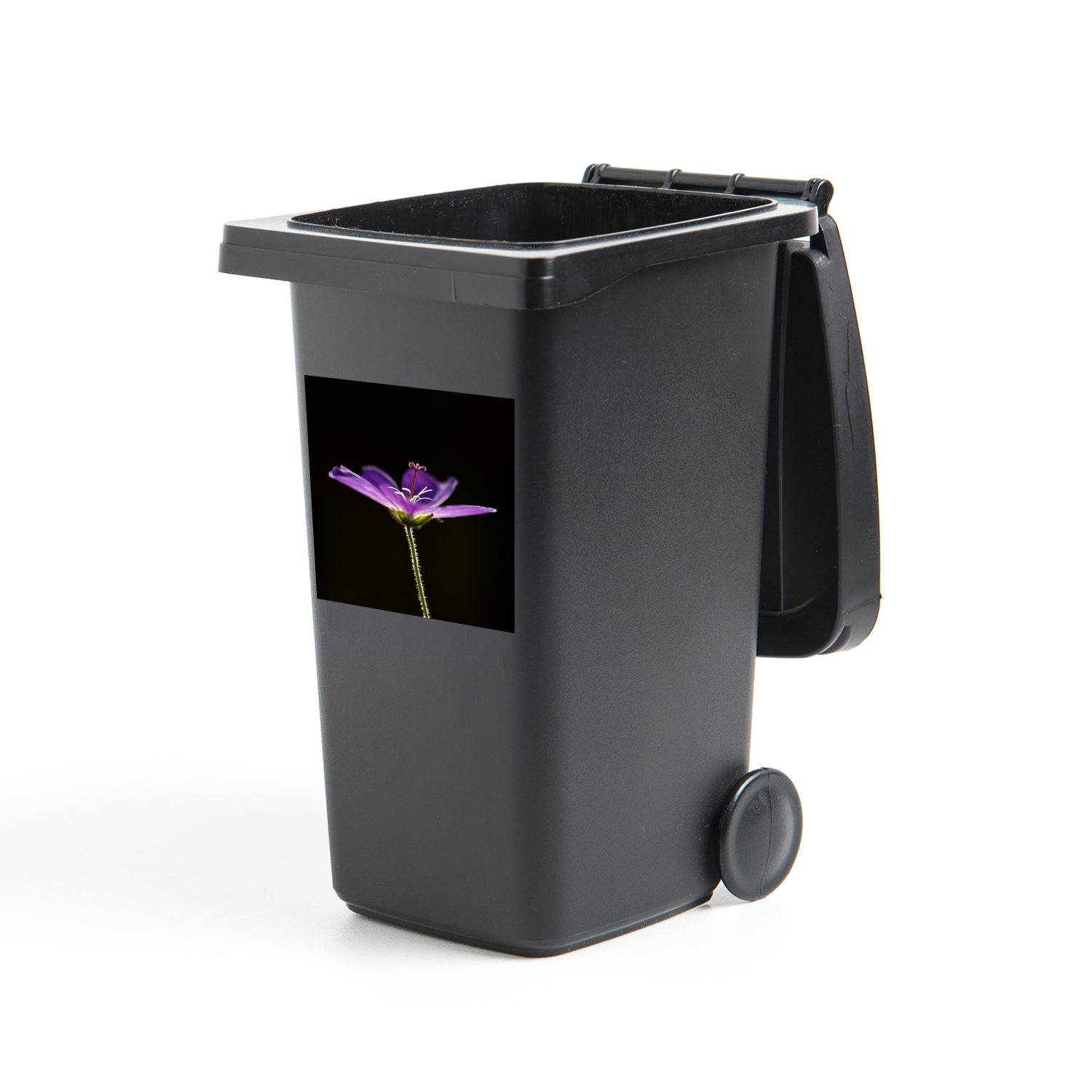 MuchoWow Wandsticker Eine lila Geranie auf schwarzem Hintergrund (1 St), Mülleimer-aufkleber, Mülltonne, Sticker, Container, Abfalbehälter