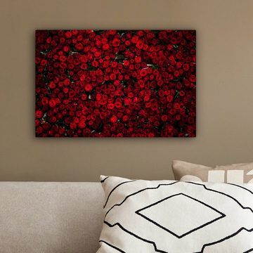 OneMillionCanvasses® Leinwandbild Blumen - Rosen - Rot, (1 St), Wandbild Leinwandbilder, Aufhängefertig, Wanddeko, 30x20 cm