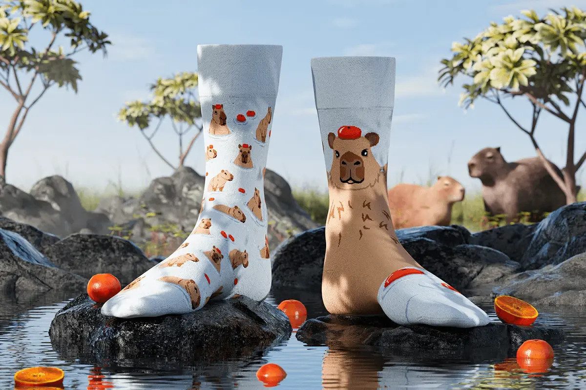 Many Mornings Freizeitsocken Many Mornings Socken Capybara (1 Paar, 1-Paar, 1 Paar) immer ein dismatching Paar