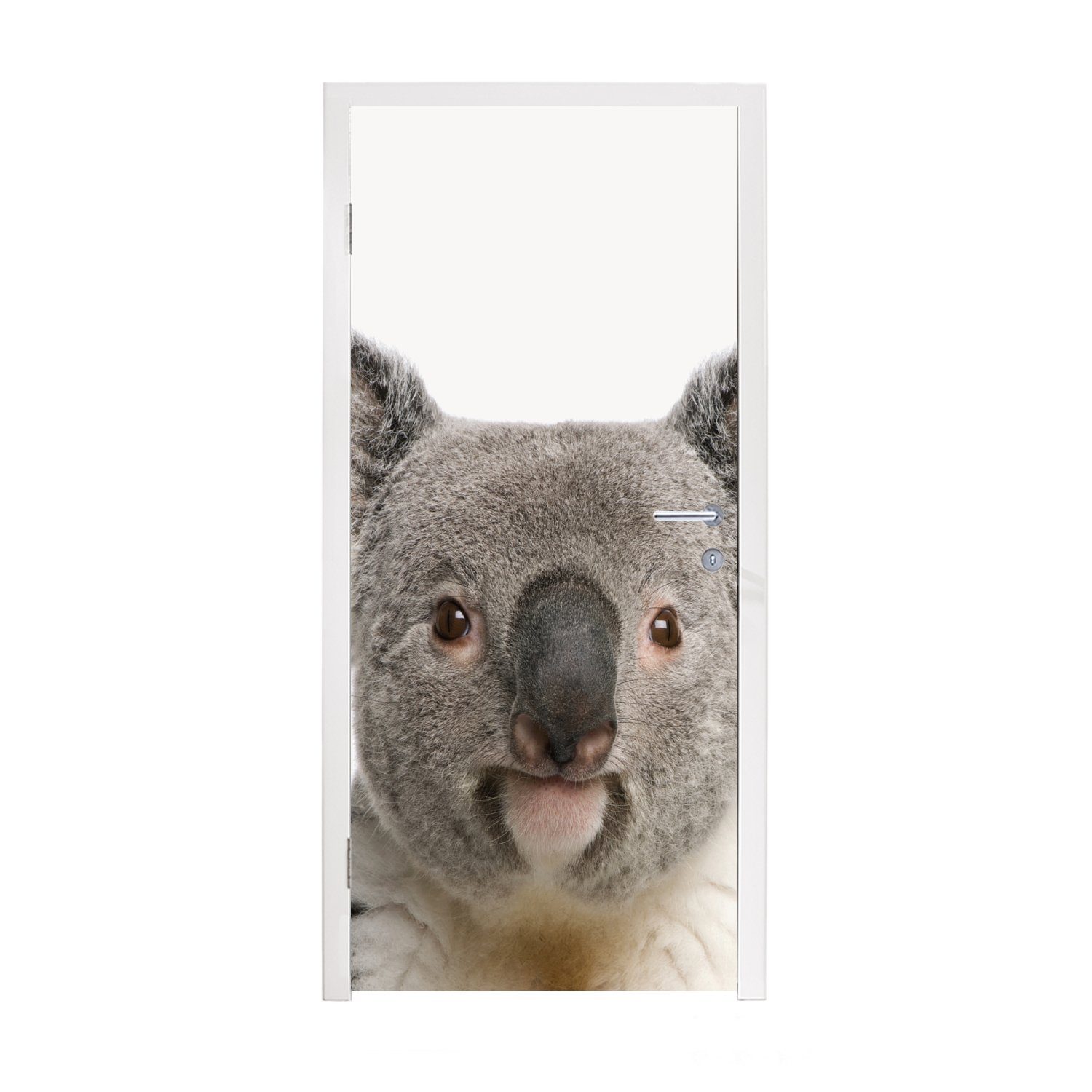 MuchoWow Türtapete Koala - Koala Bär - Mädchen - Jungen - Tiere, Matt, bedruckt, (1 St), Fototapete für Tür, Türaufkleber, 75x205 cm