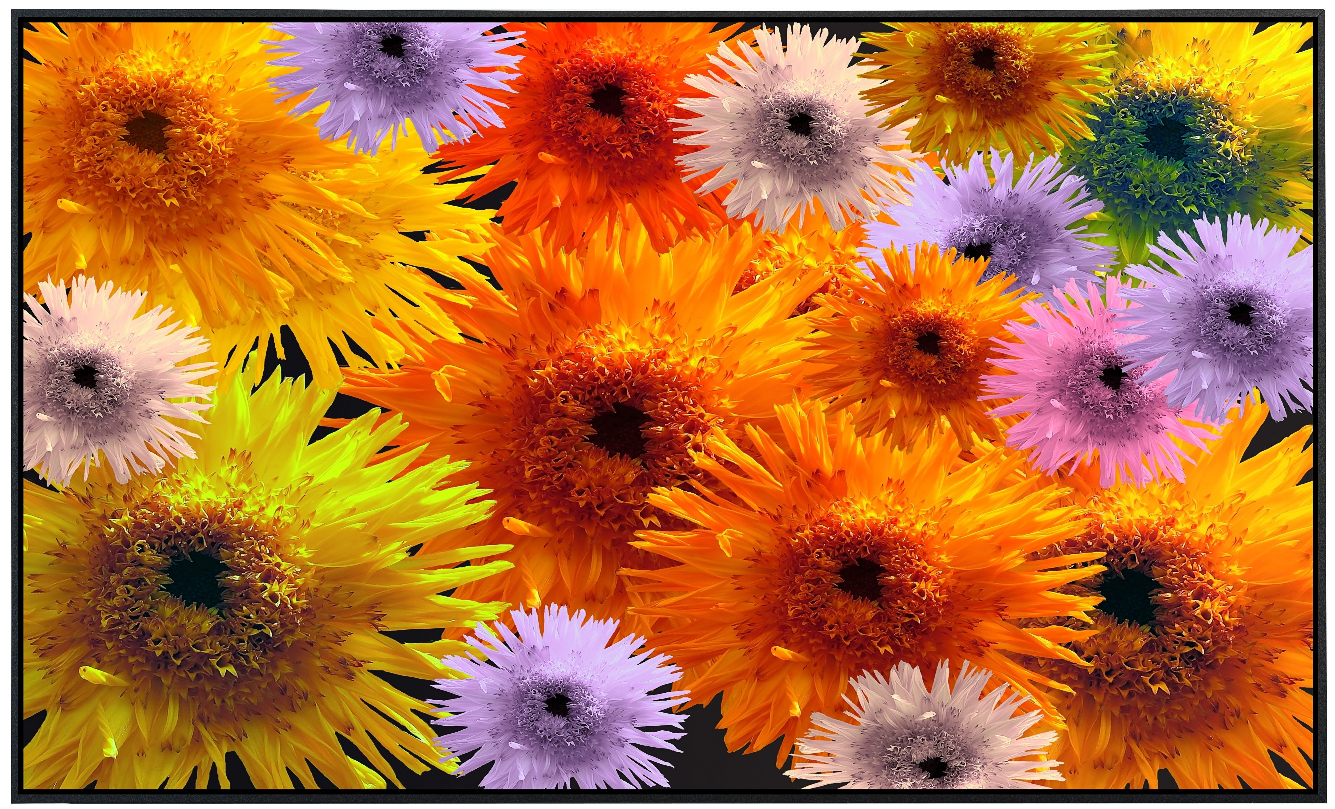 Papermoon Infrarotheizung Farbenfrohe Blumen als Bildheizung, im schwarzen Aluminiumrahmen, HZ(5033), TÜV-Rheinland/GS zertifiziert, angenehme Strahlungswärme