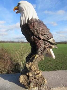 Fachhandel Plus Gartenfigur Adler Weißkopfseeadler auf Fels, (1 St), wetterbeständige Tierfigur