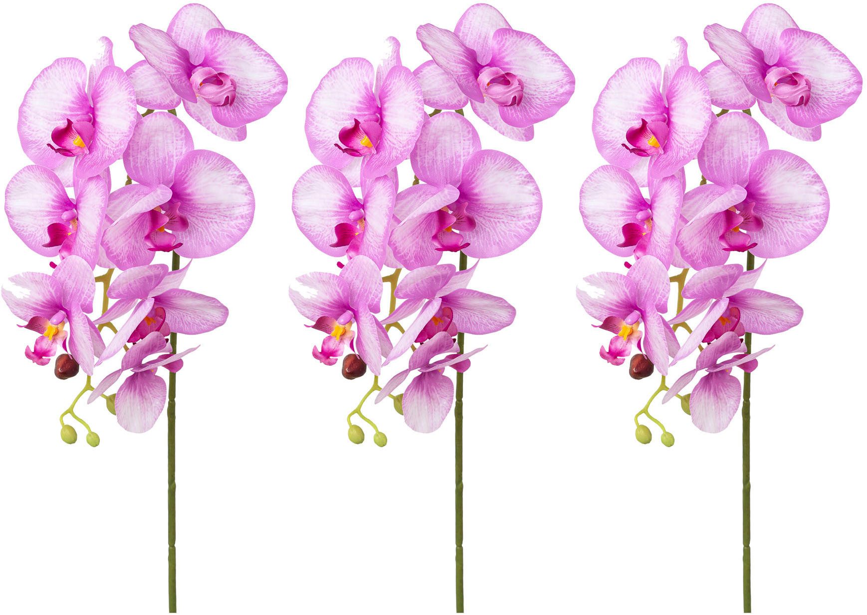 Kunstorchidee Orchidee Phalaenopsis Orchidee, Creativ green, günstig online kaufen